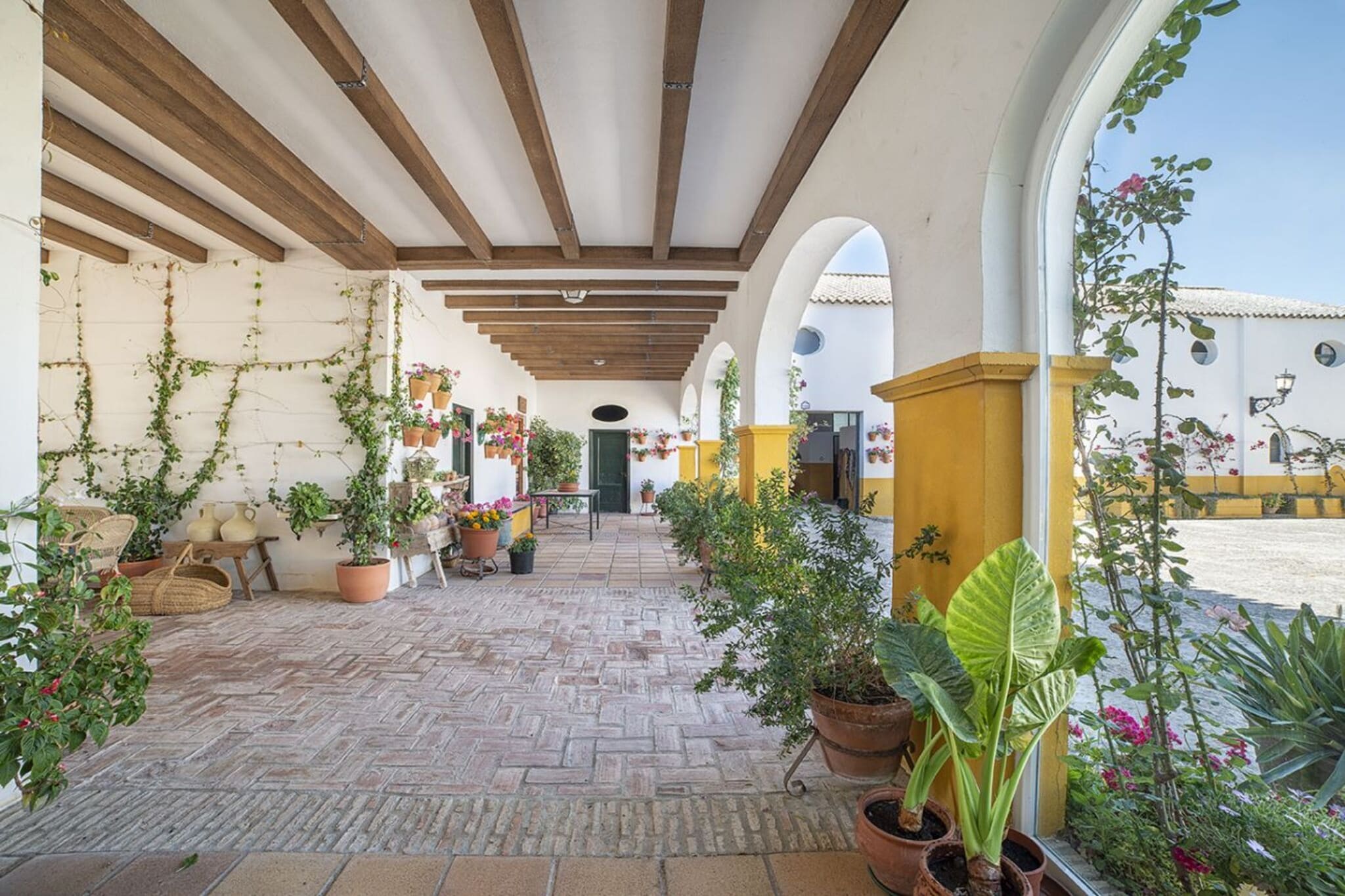 Cortijo Sierra y Lago - Terrasbalkon