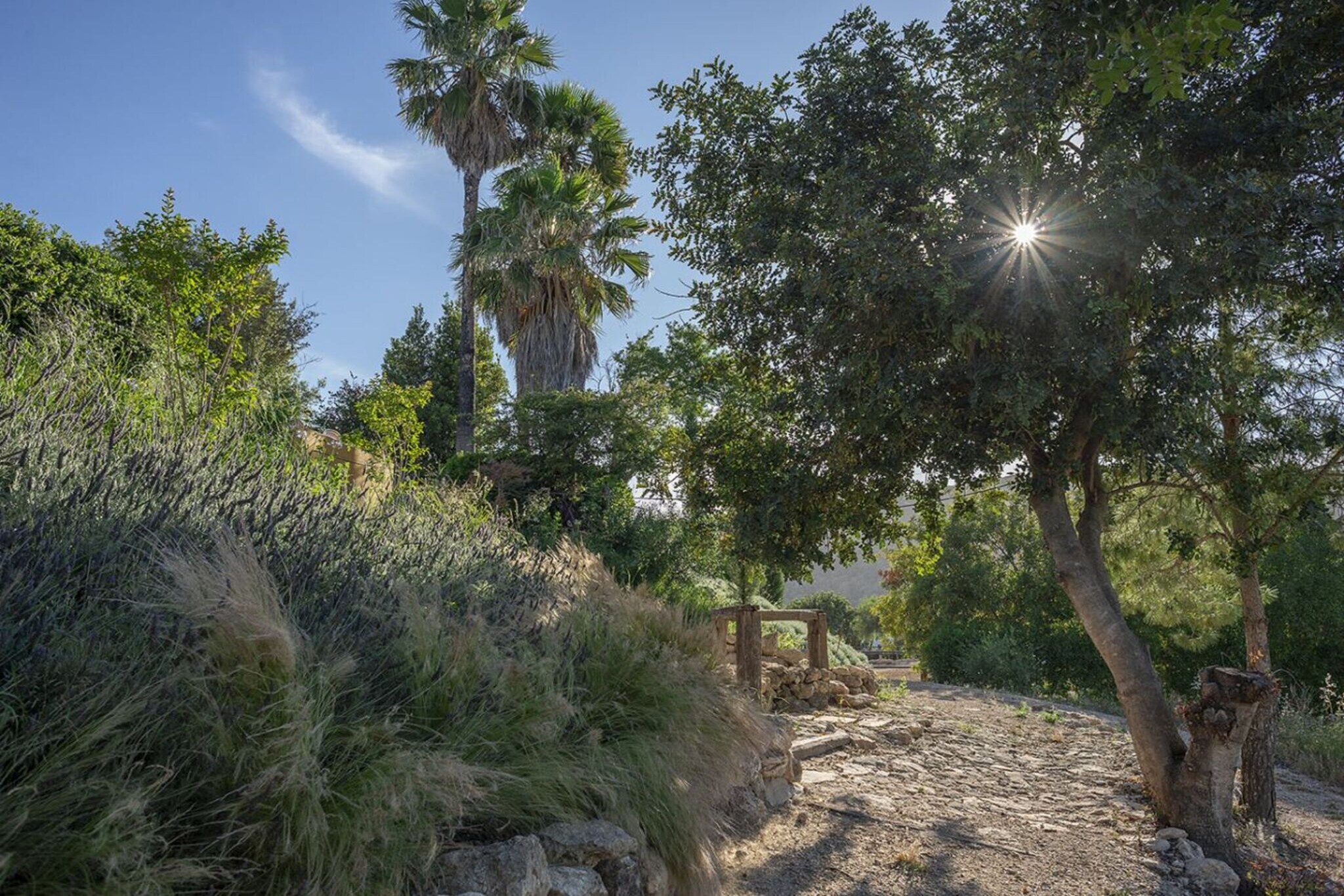 Cortijo Sierra y Lago - Gebieden zomer 1km