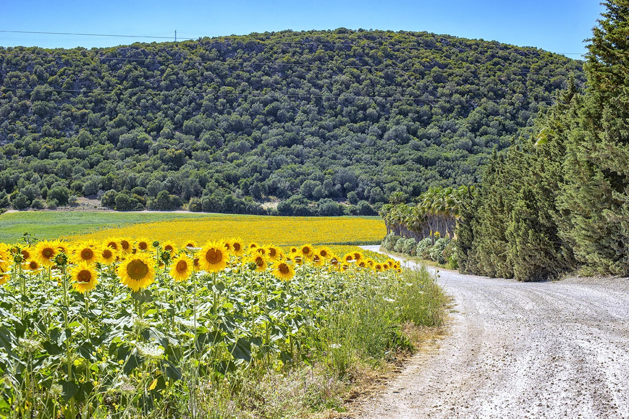Cortijo Sierra y Lago - Gebieden zomer 5km