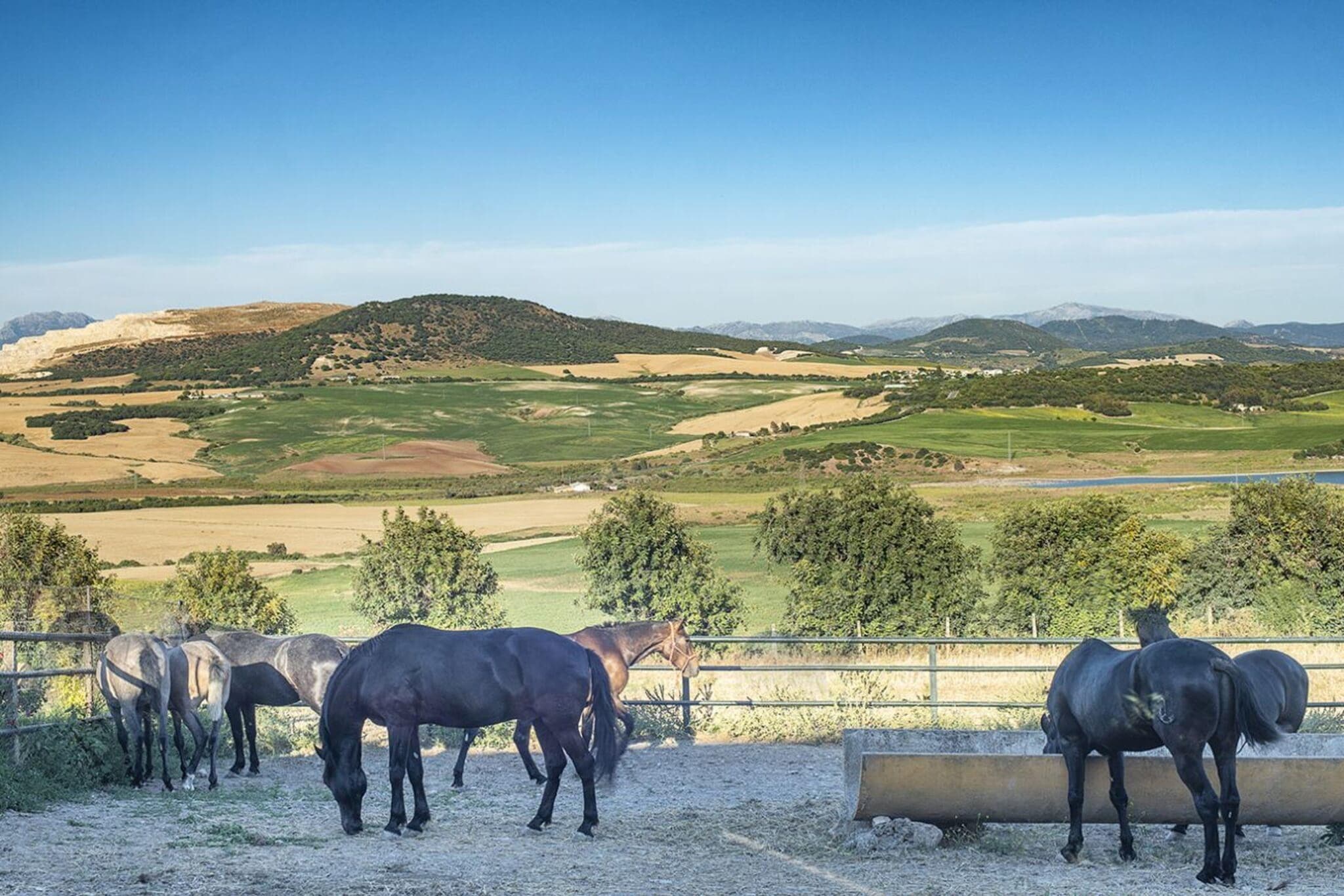 Cortijo Sierra y Lago - Faciliteiten