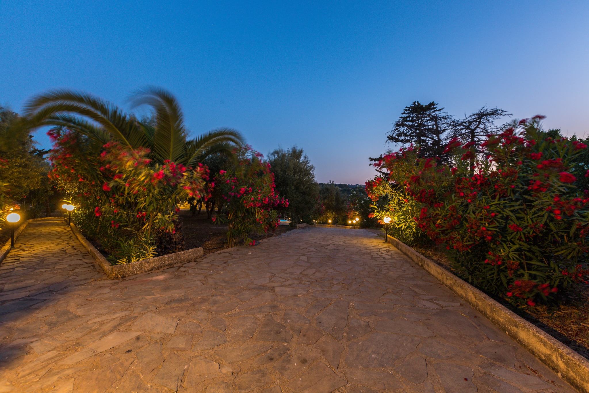 Oros Residence - Garten Sommer