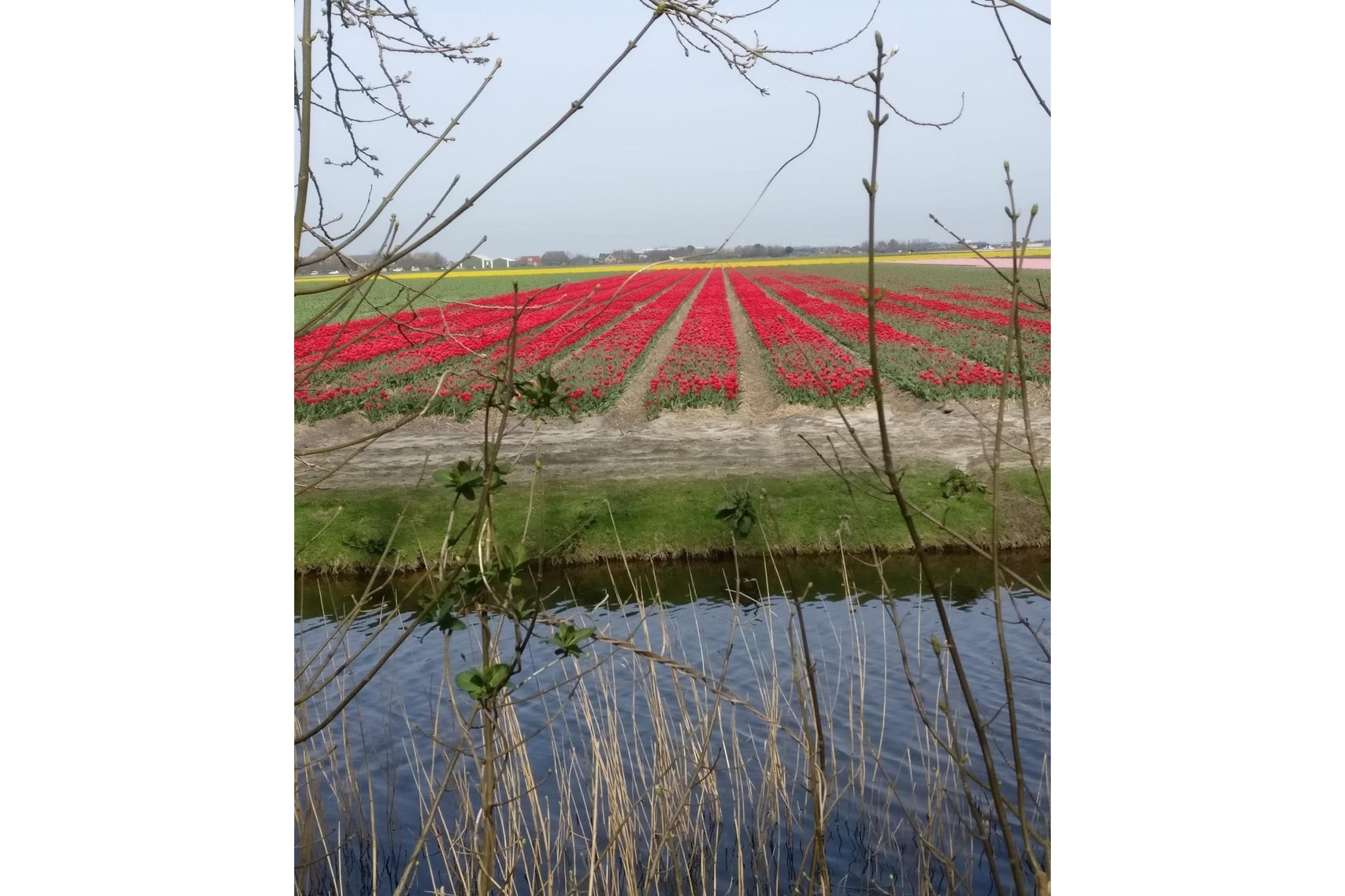 Stacaravan Peace and Quiet  - Tuinen zomer