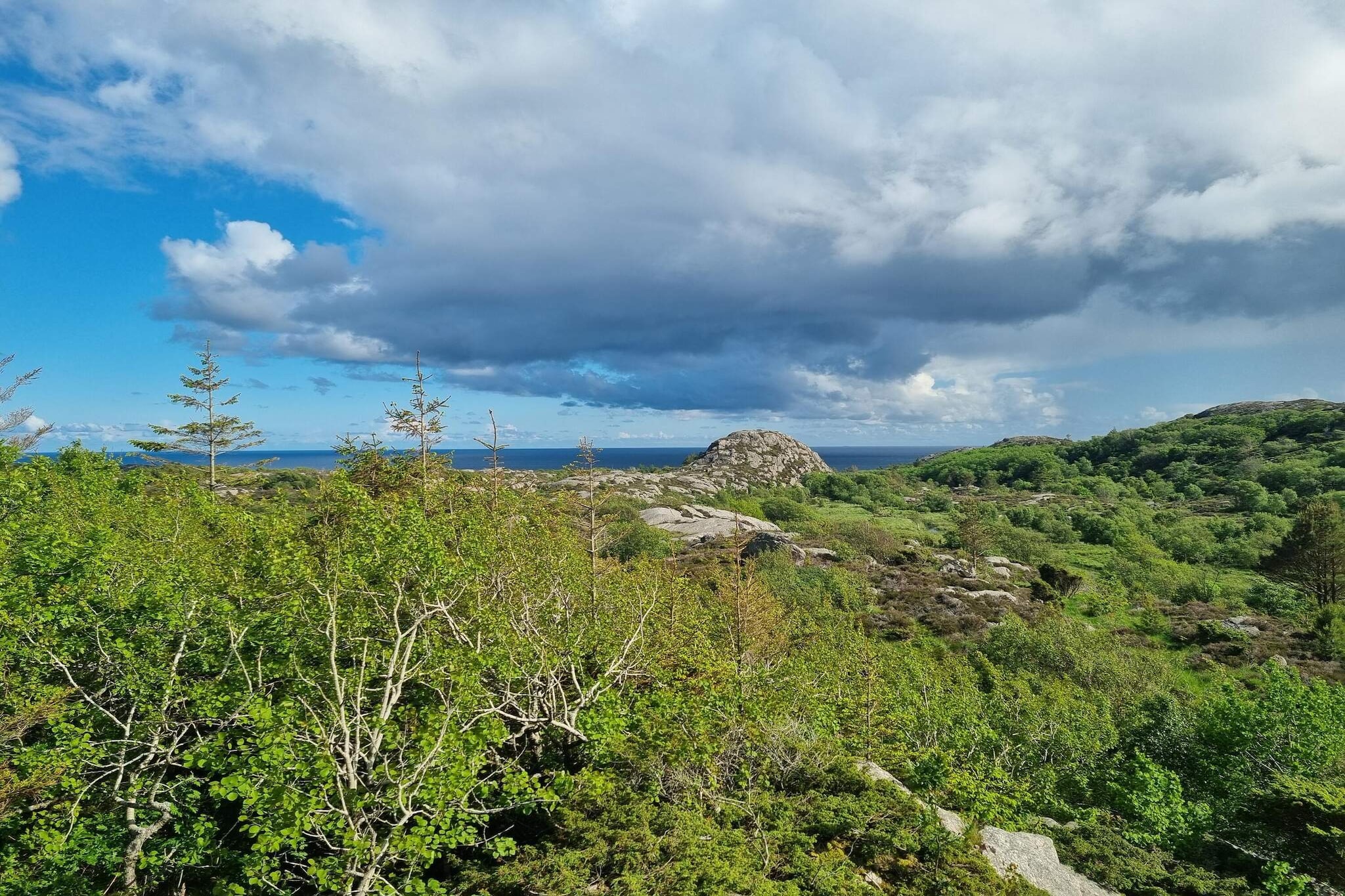 6 Personen vakantie huis in Lindesnes - Niet-getagd