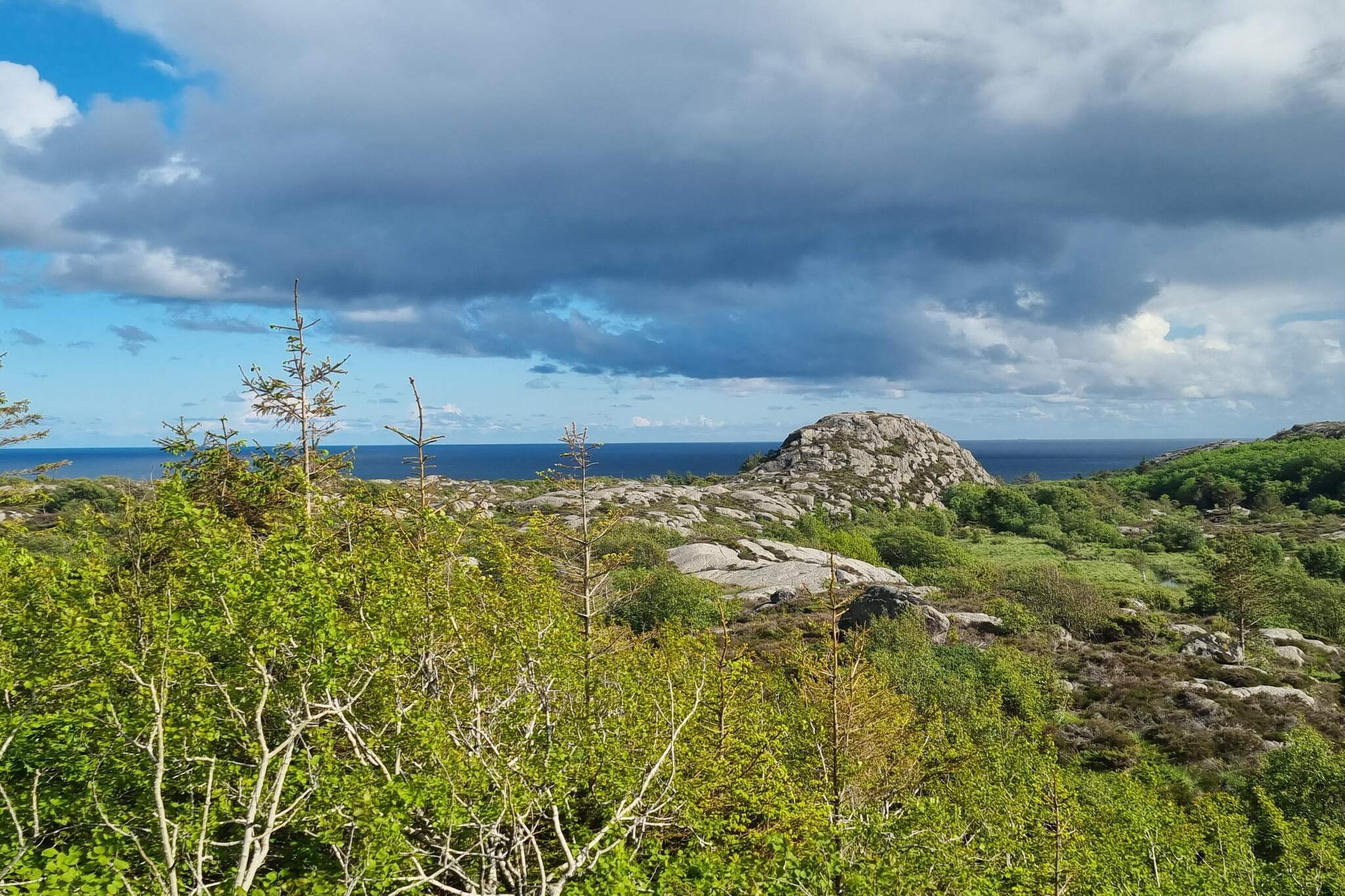 6 Personen vakantie huis in Lindesnes - Niet-getagd
