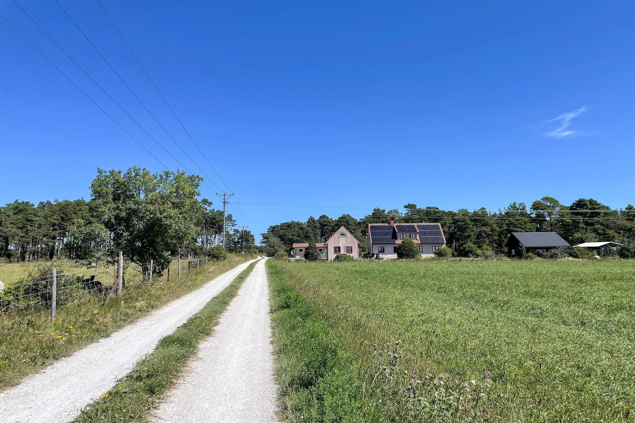 4 etoiles maison de vacances a Fårö - Extérieur