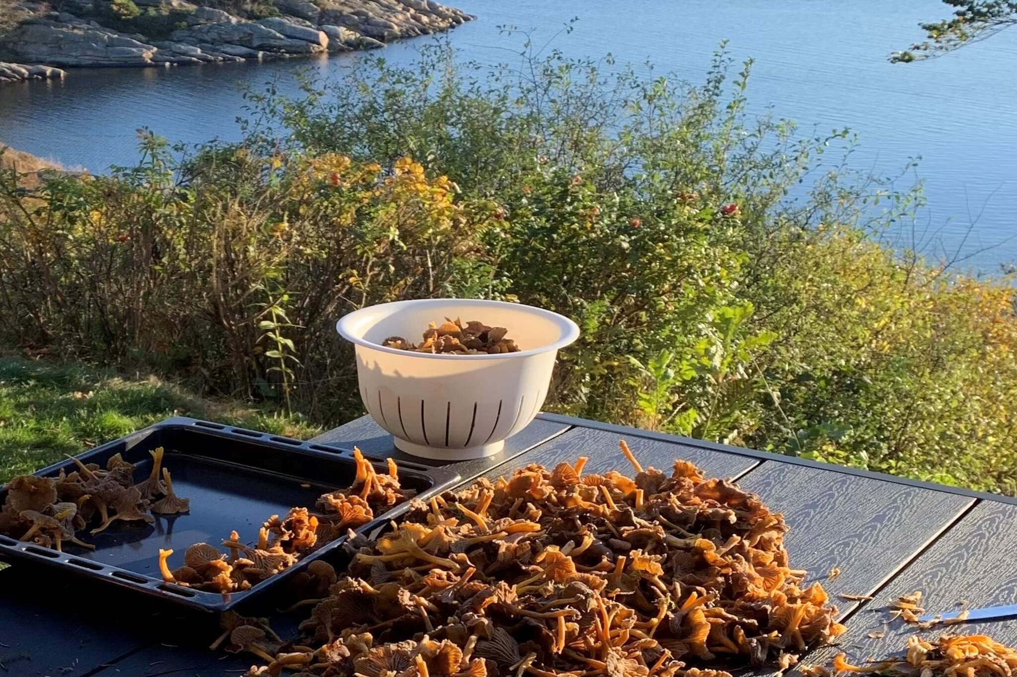 5 sterren vakantie huis in UDDEVALLA