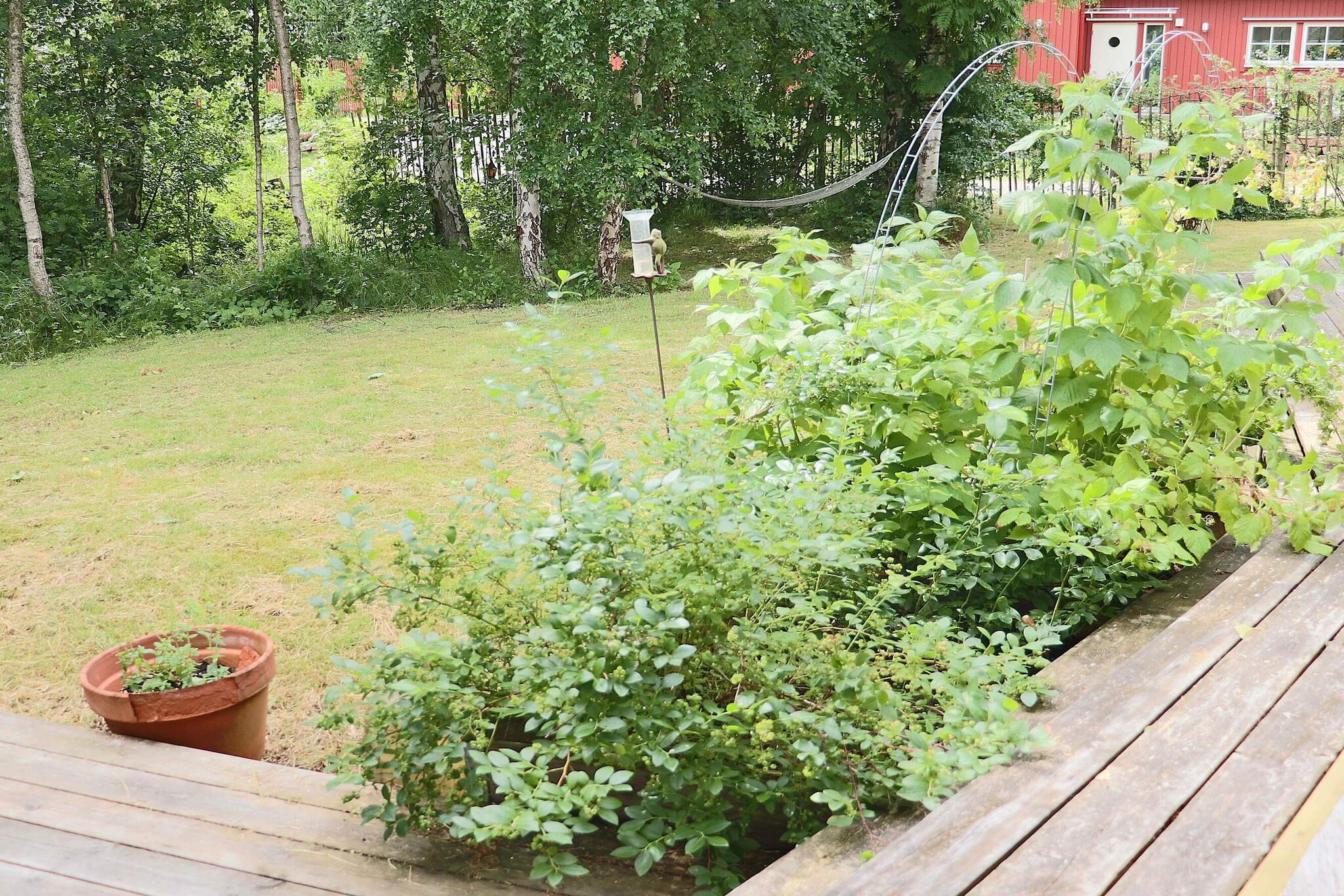 4 sterren vakantie huis in FALKENBERG - Buitenlucht