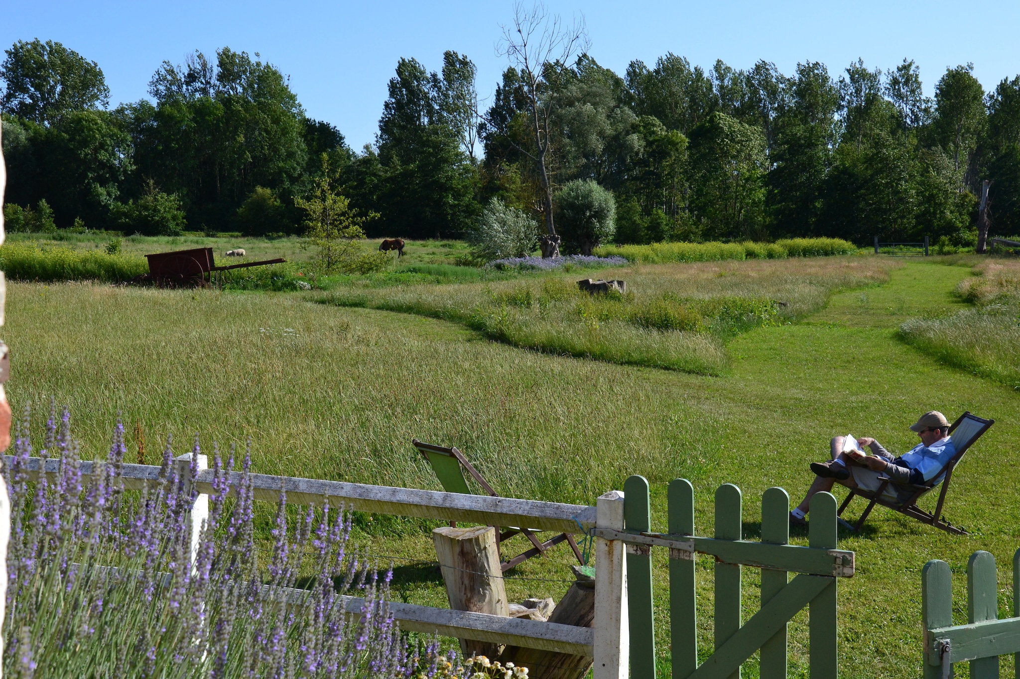Jolie petite maison Picarde au bord de l'eau - Garten Sommer