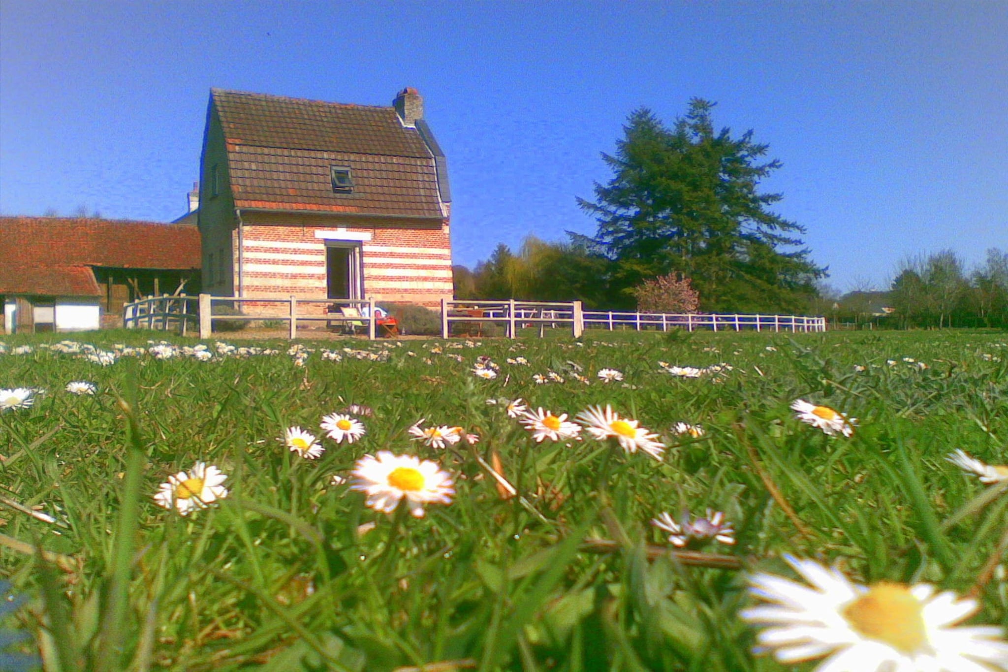 Jolie petite maison Picarde au bord de l'eau - Außenbereich Sommer