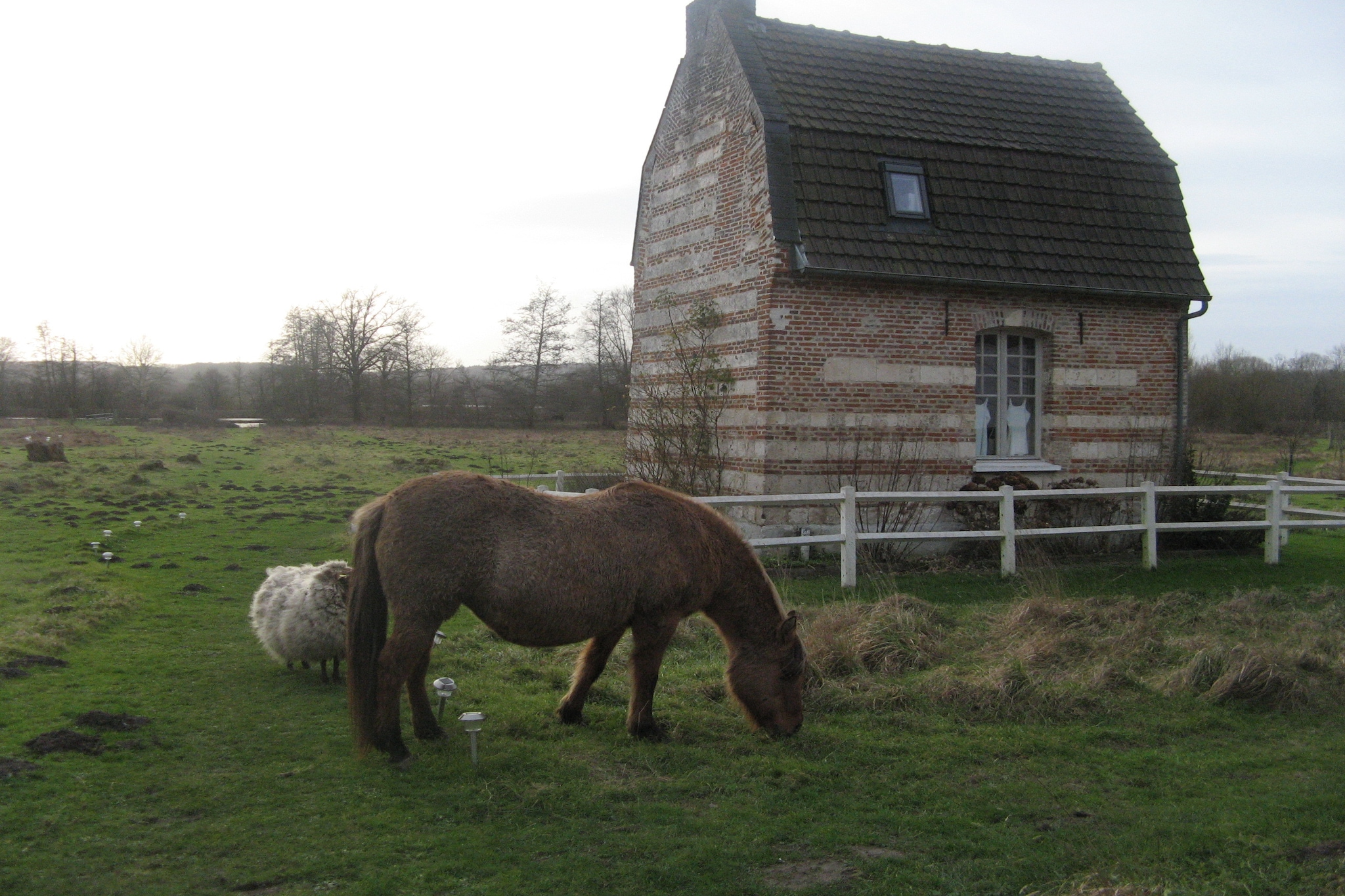 Jolie petite maison Picarde au bord de l'eau - Außenbereich Sommer