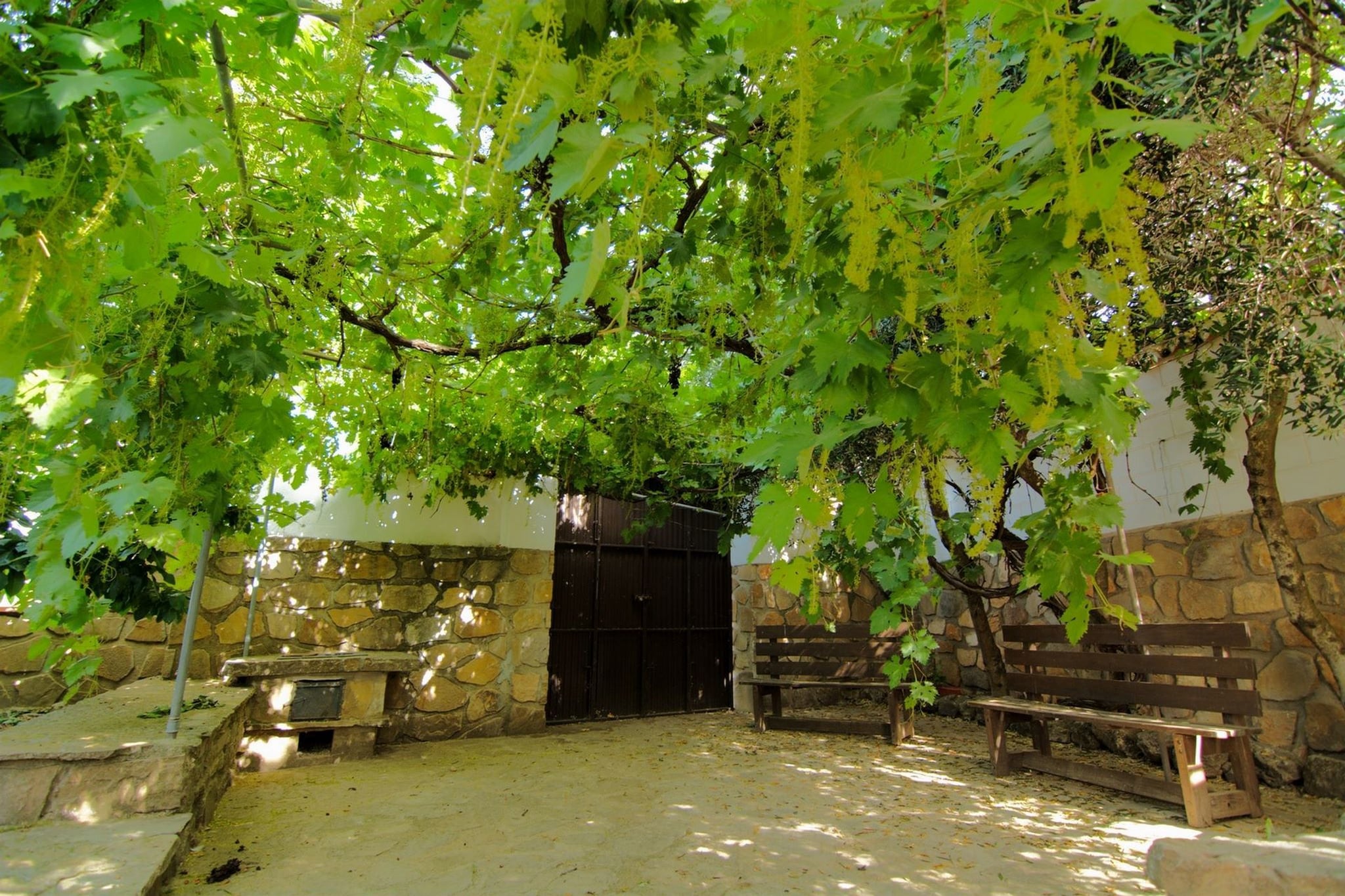 Casa Almendro-Gärten Sommer