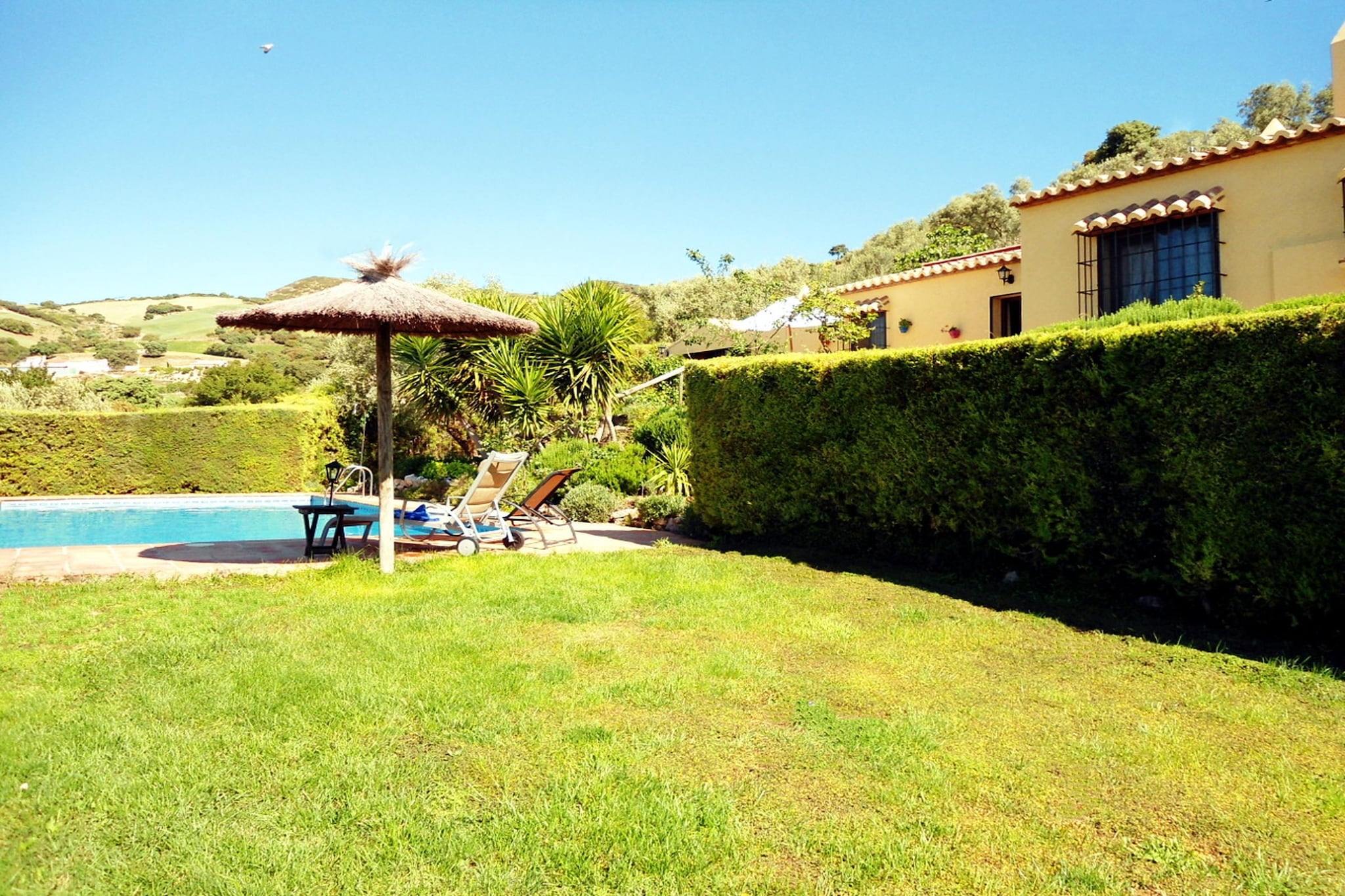Finca las Chozas-Tuinen zomer