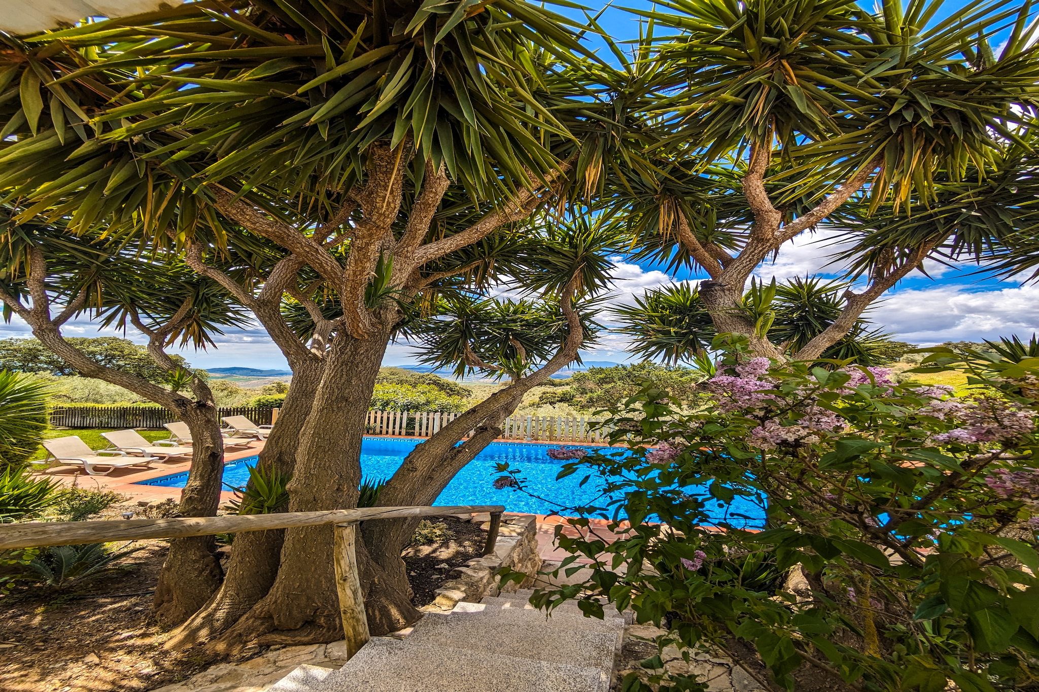 Finca las Chozas-Tuinen zomer