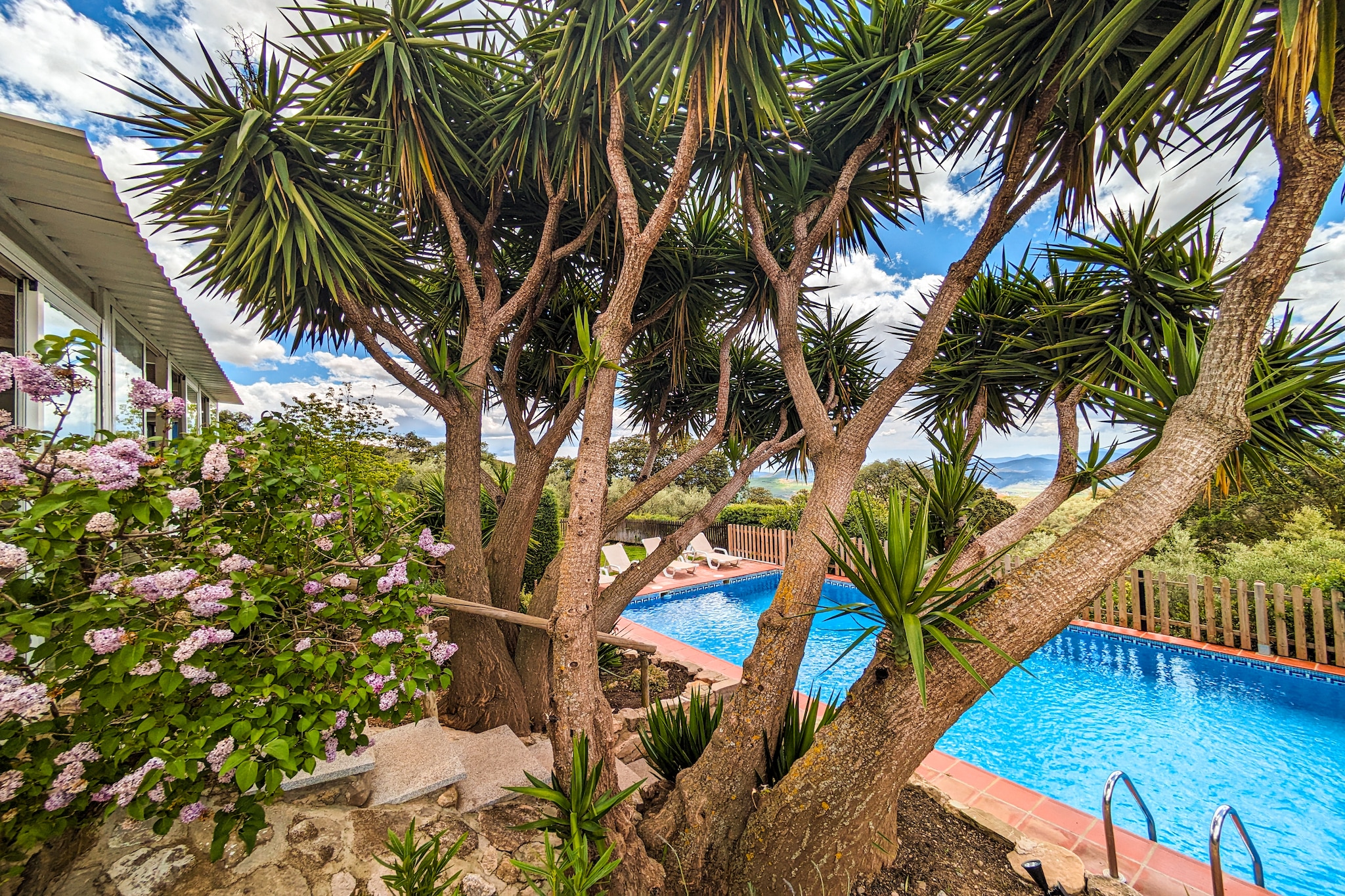 Finca las Chozas-Tuinen zomer