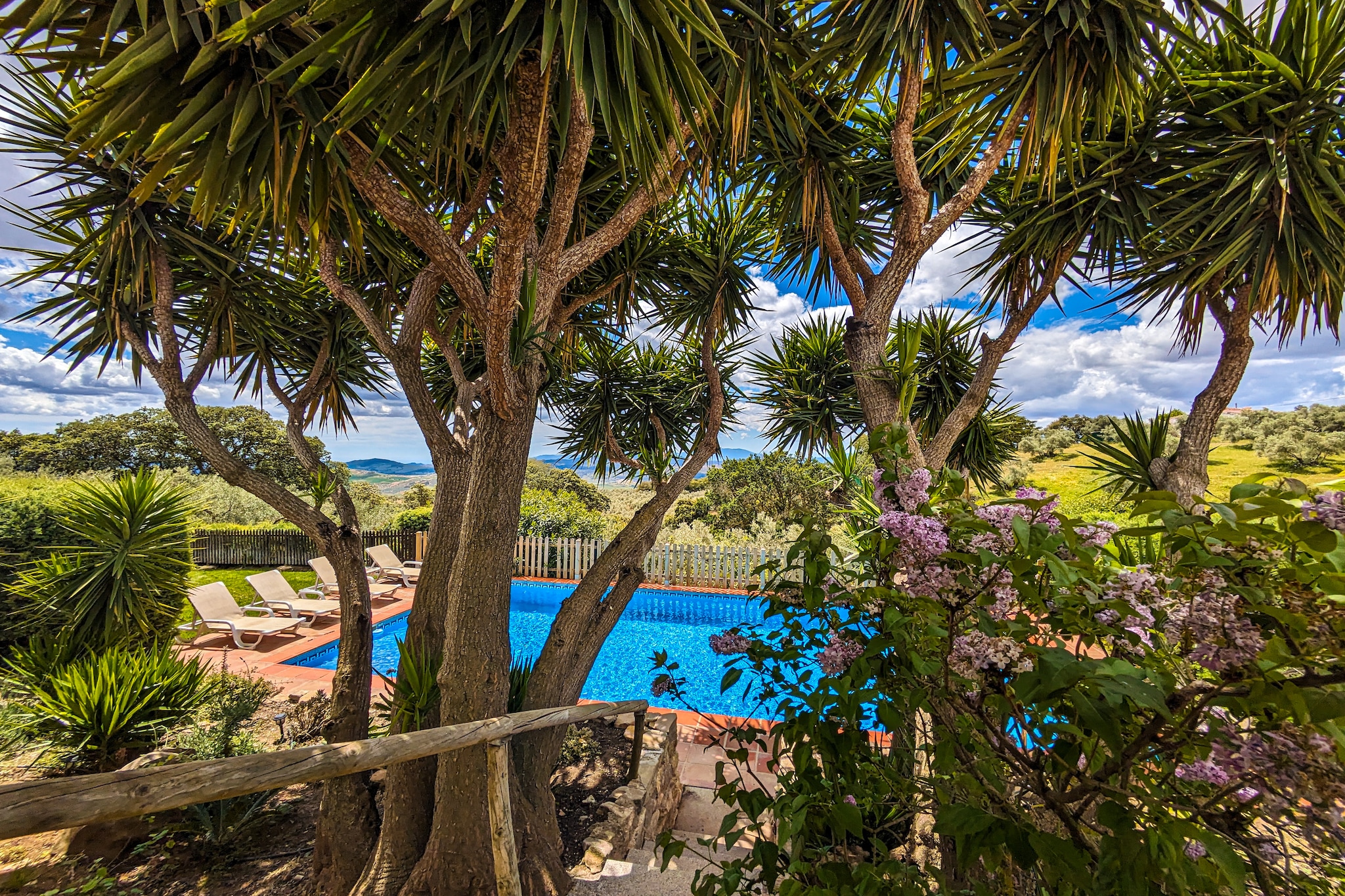 Finca las Chozas-Tuinen zomer