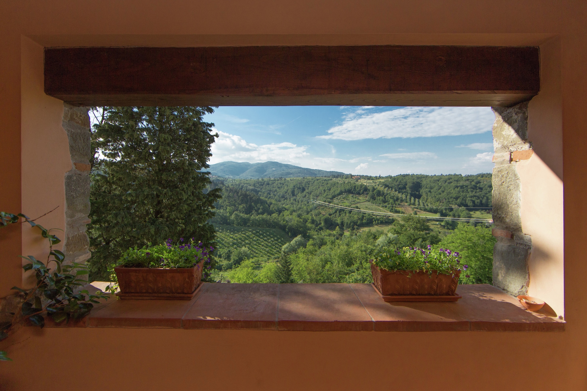 View Summer