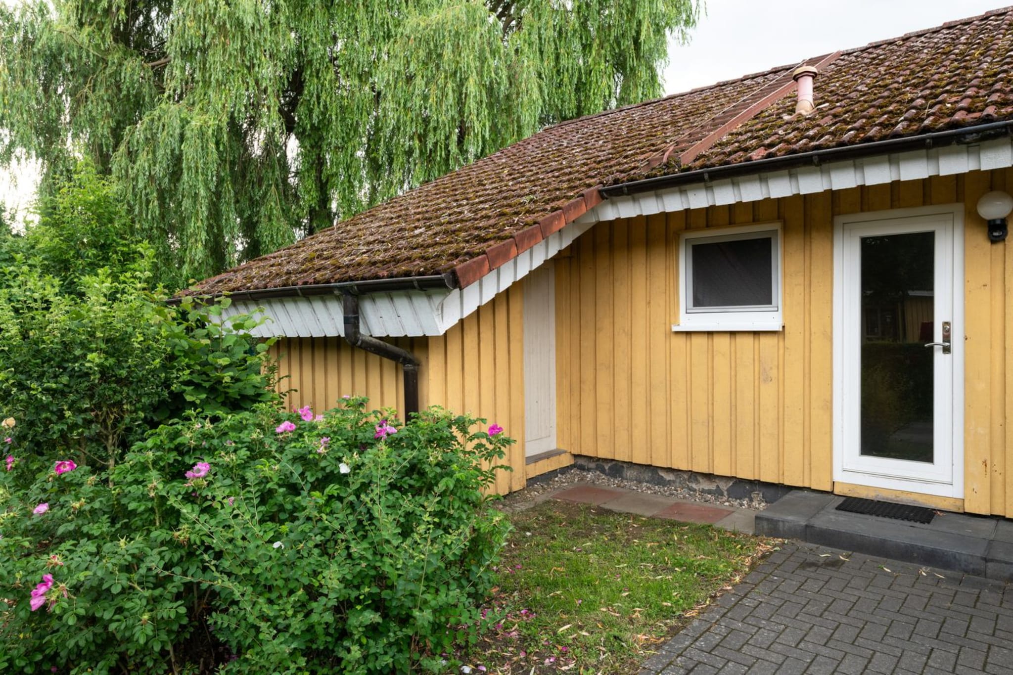 FH Möwe 35 - Extérieur été