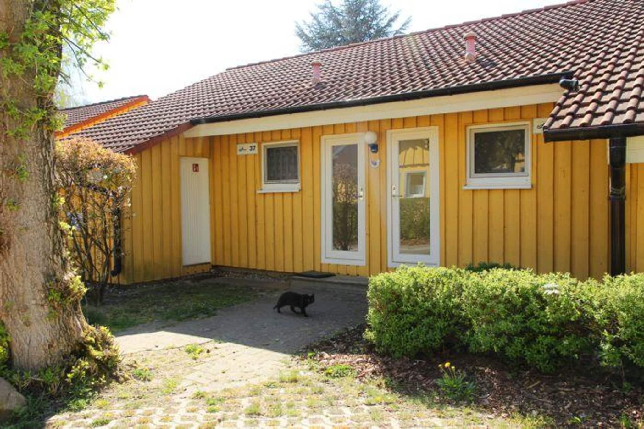 FH Möwe 37