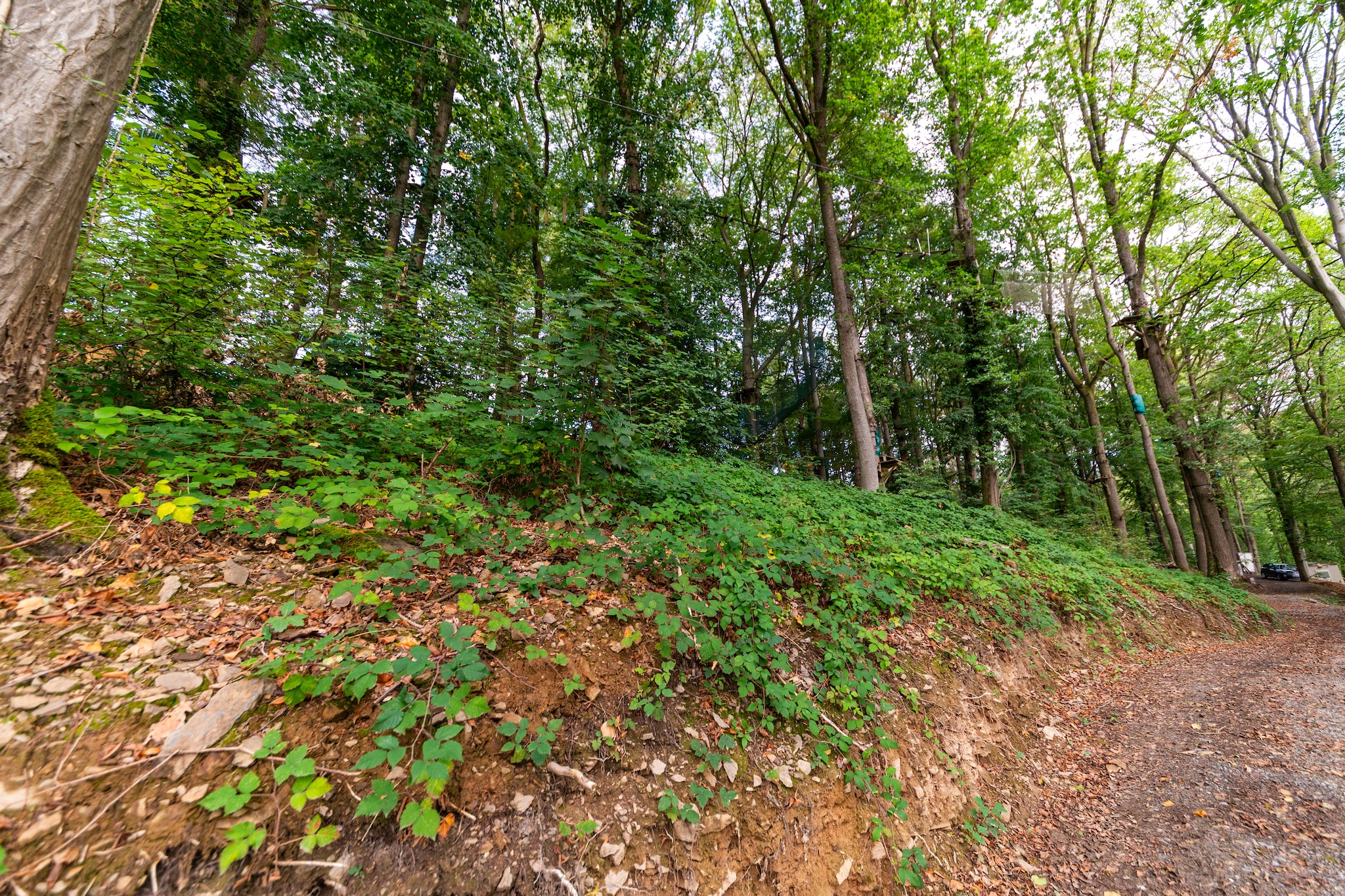 Cabane Hortensia 7 - Gebieden zomer 1km