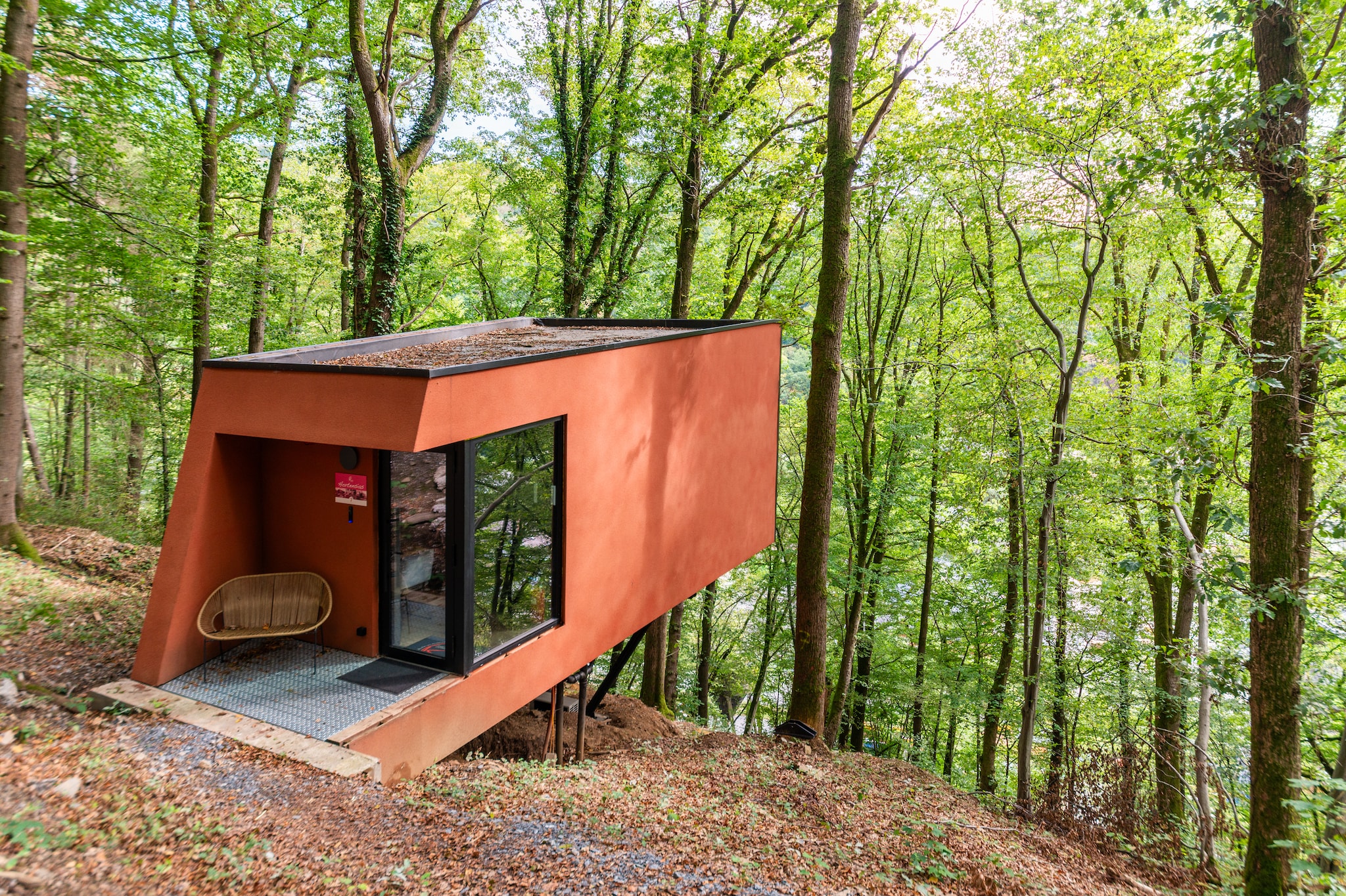 Cabane Olivine 12