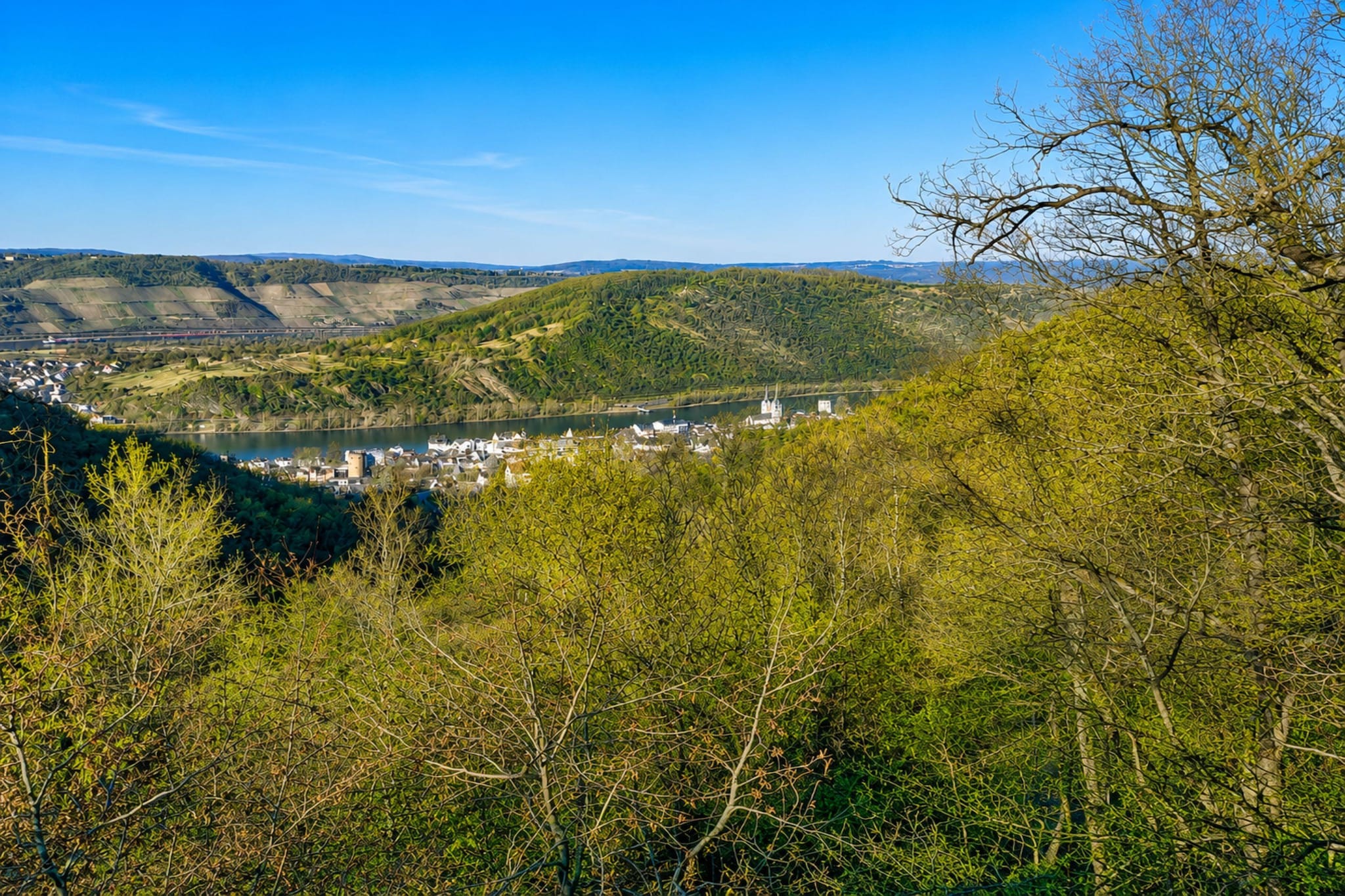 Holiday Apartment am Rhein 4 - Areas within 5km in summer