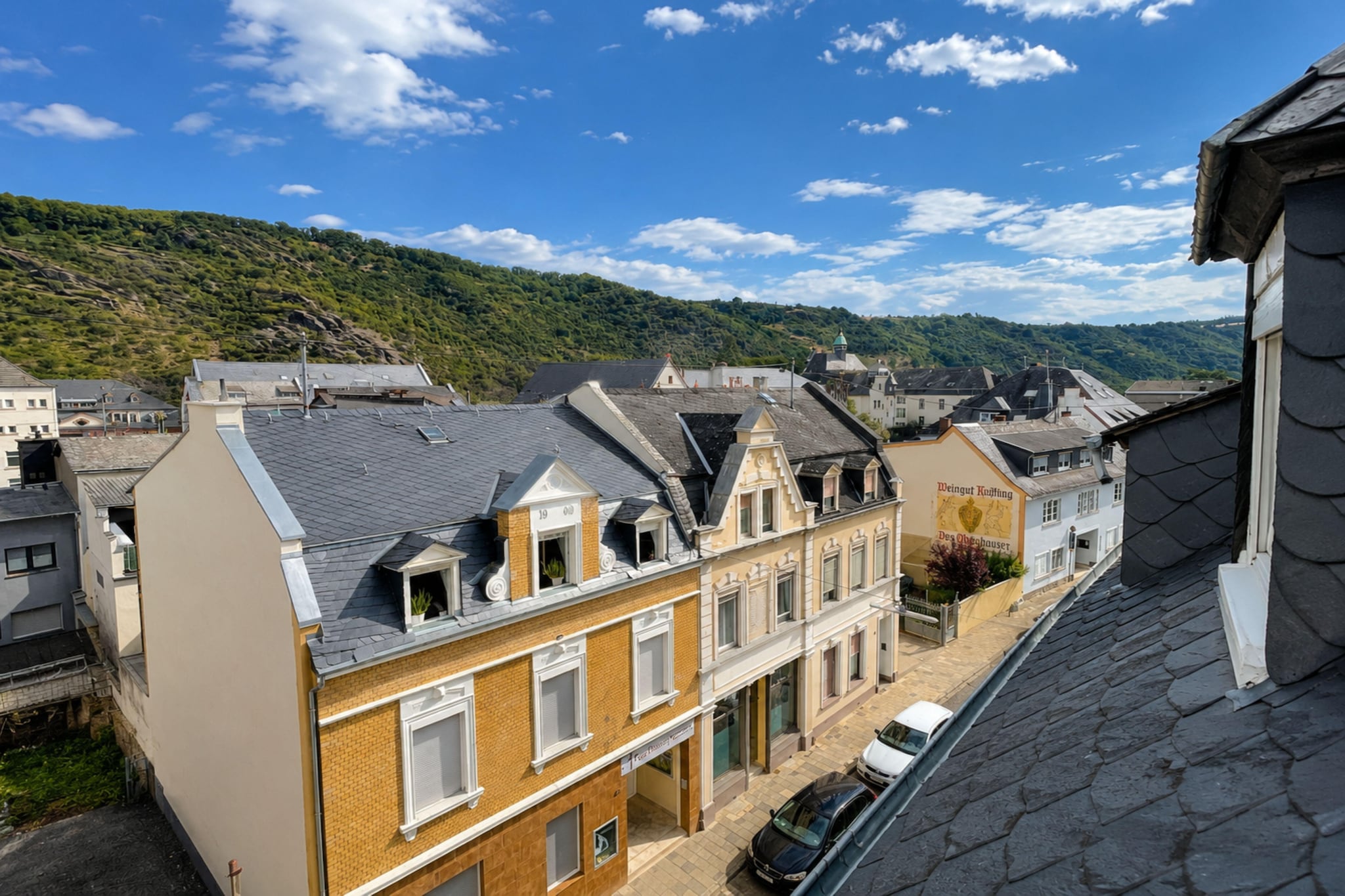 Holiday Apartment am Rhein 5 - View in summer