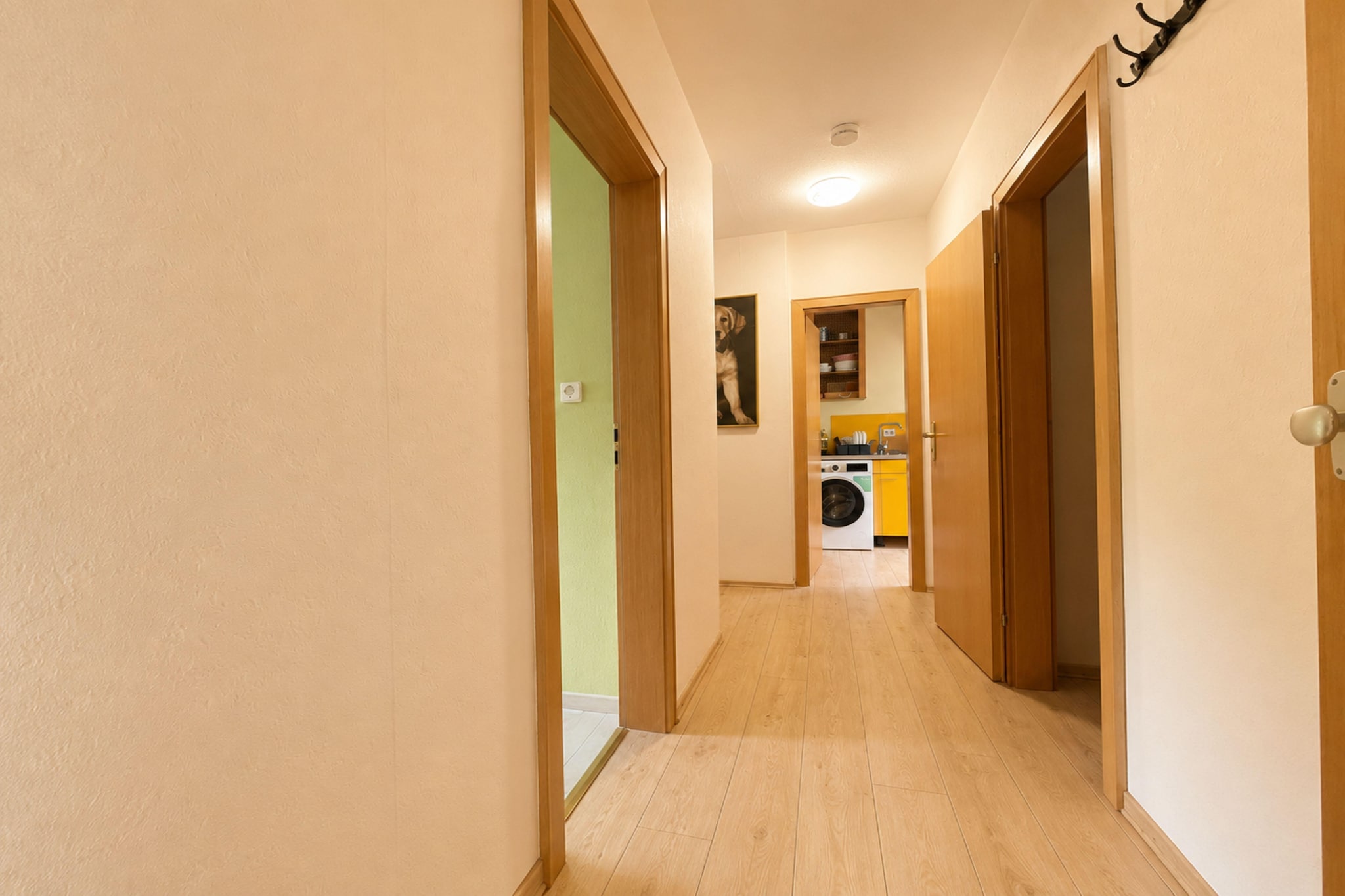 Holiday Apartment am Rhein 5 - Landing