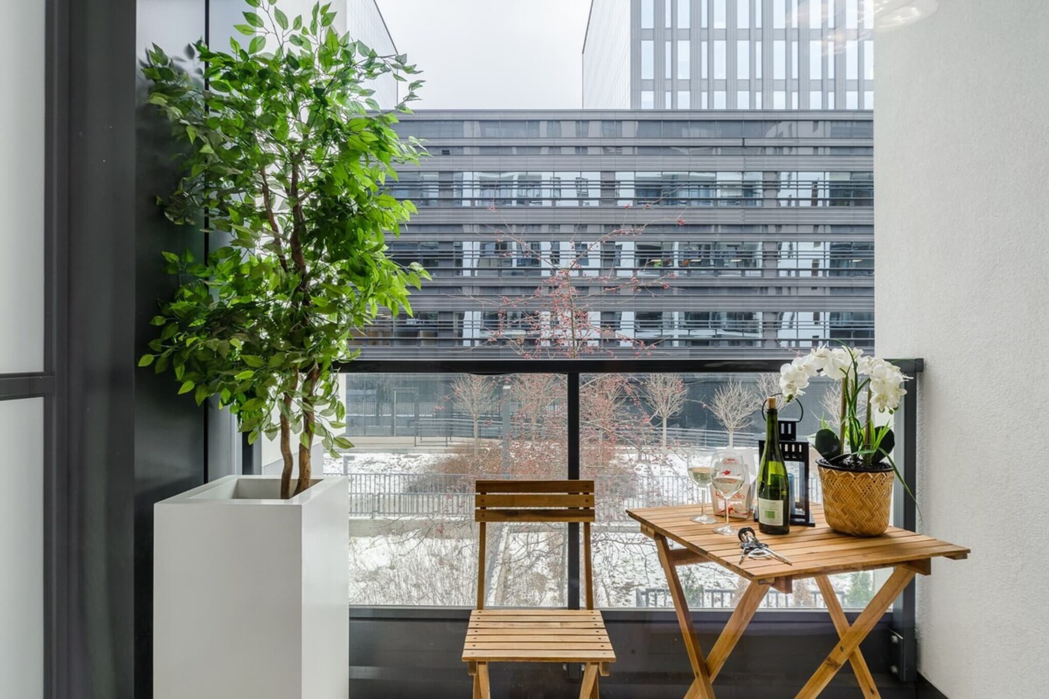 Terrace Balcony