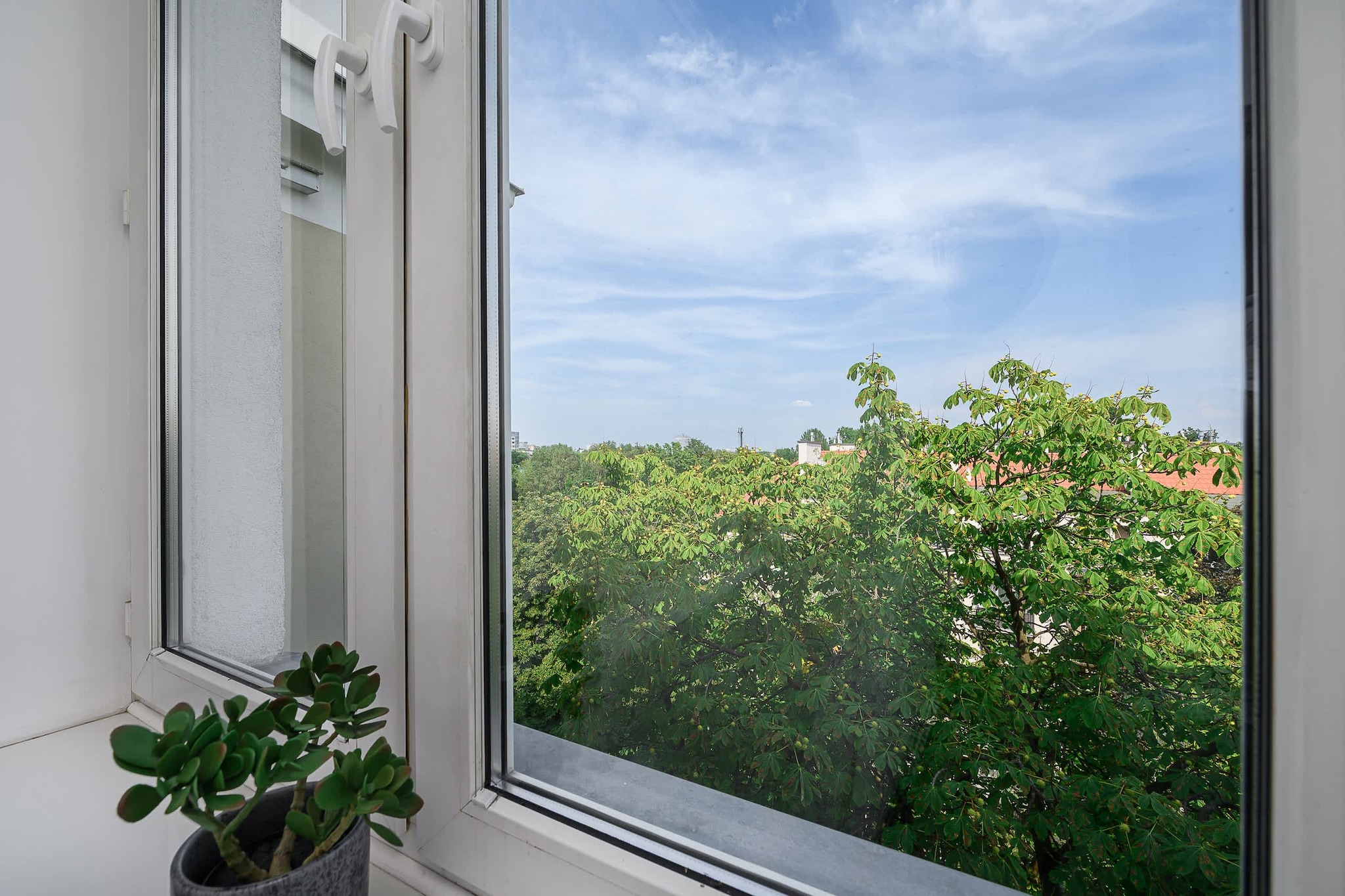 View Summer
