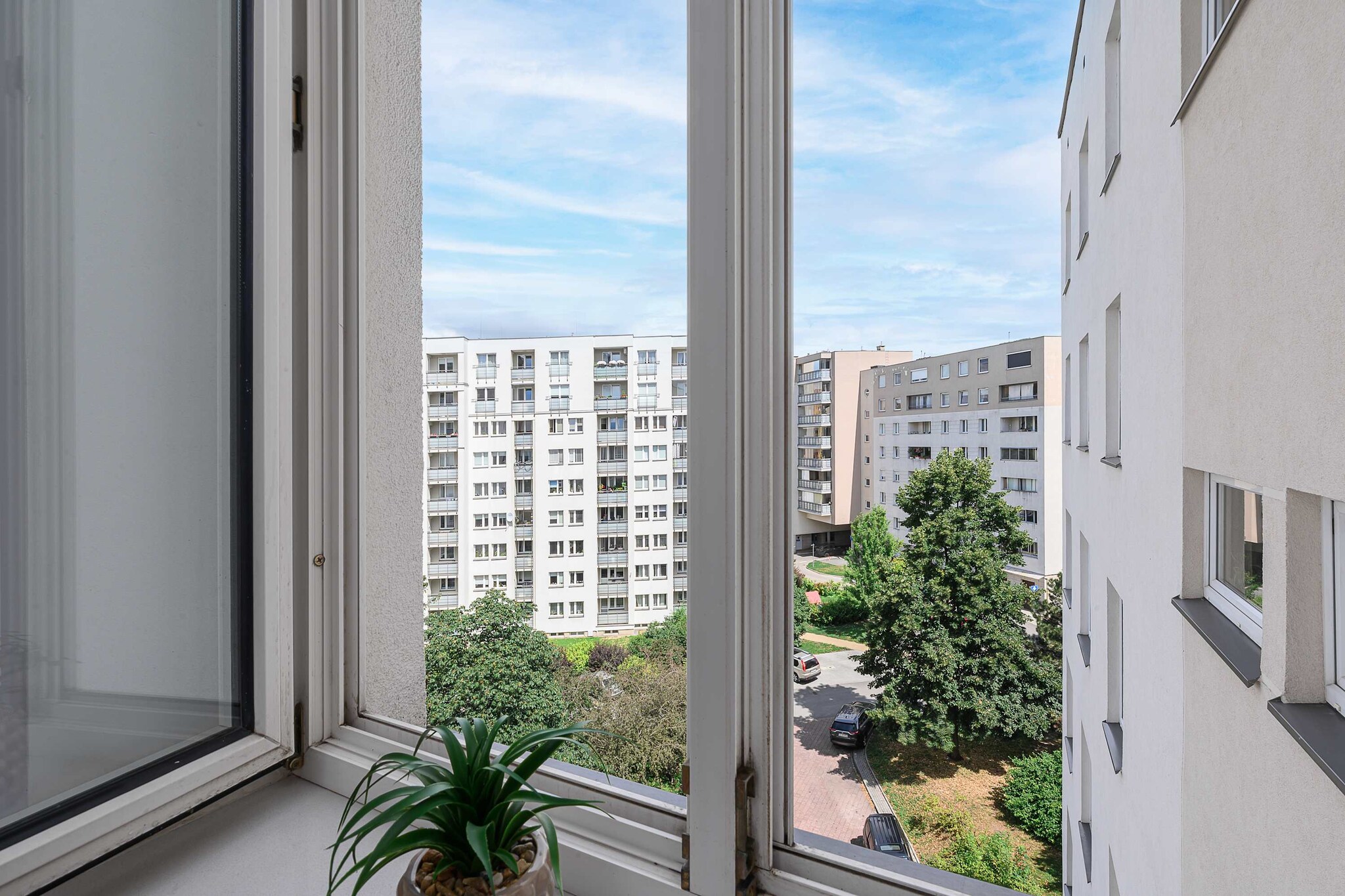 View Summer