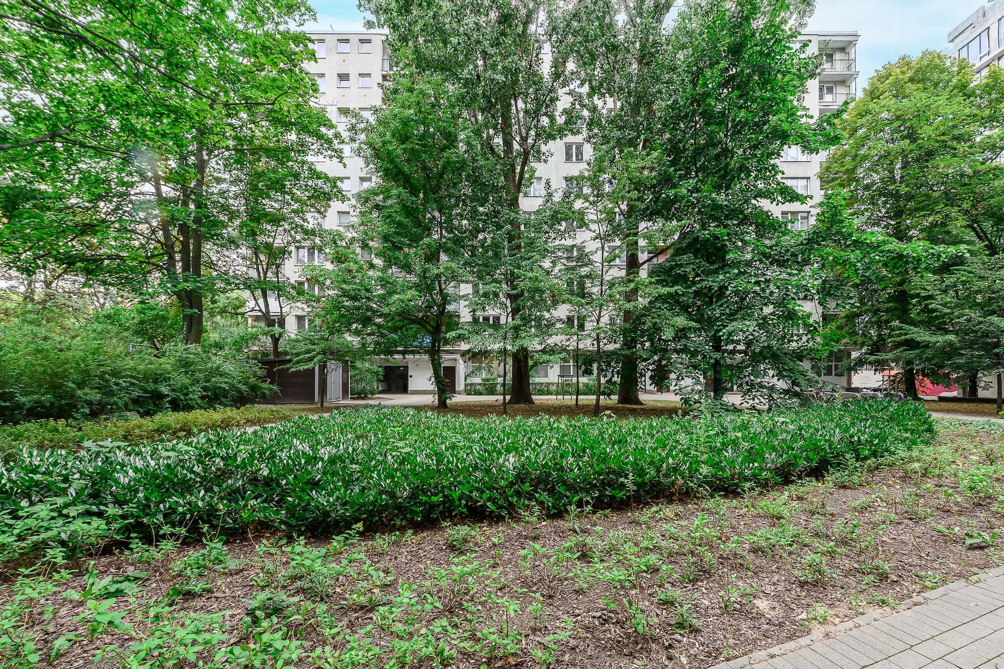Garden Summer