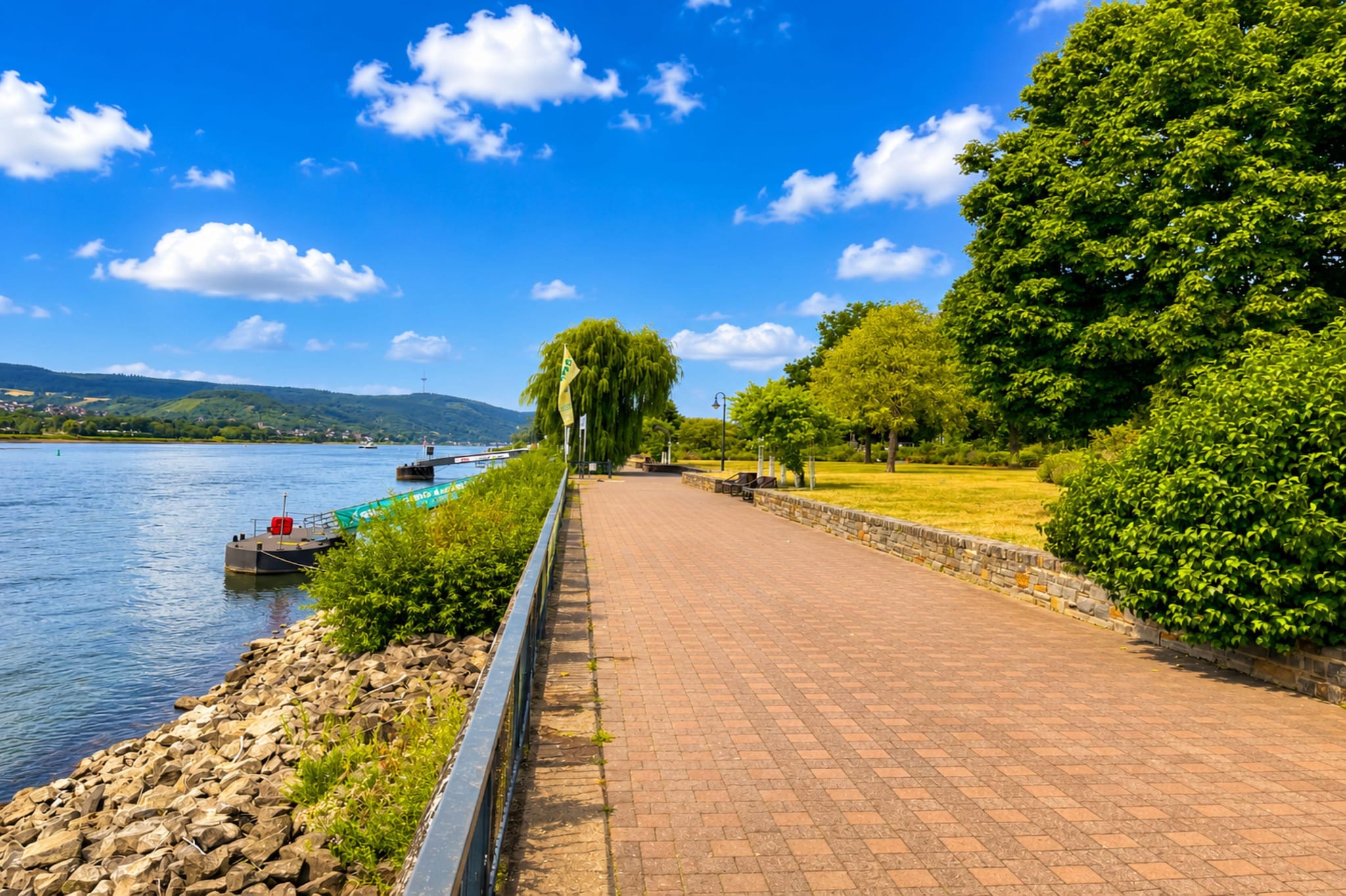 Zum Rheinberg Braubach App 2  Etage 1 _ 2 P - Gebieden zomer 1km