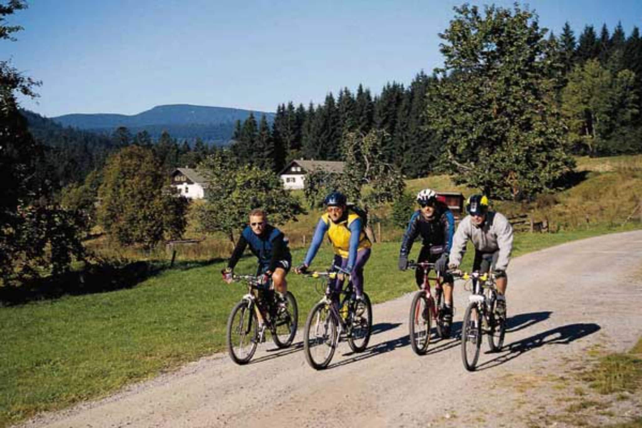 Reiterhof Runding - 2 Raum App - Gebiete Sommer 20 km
