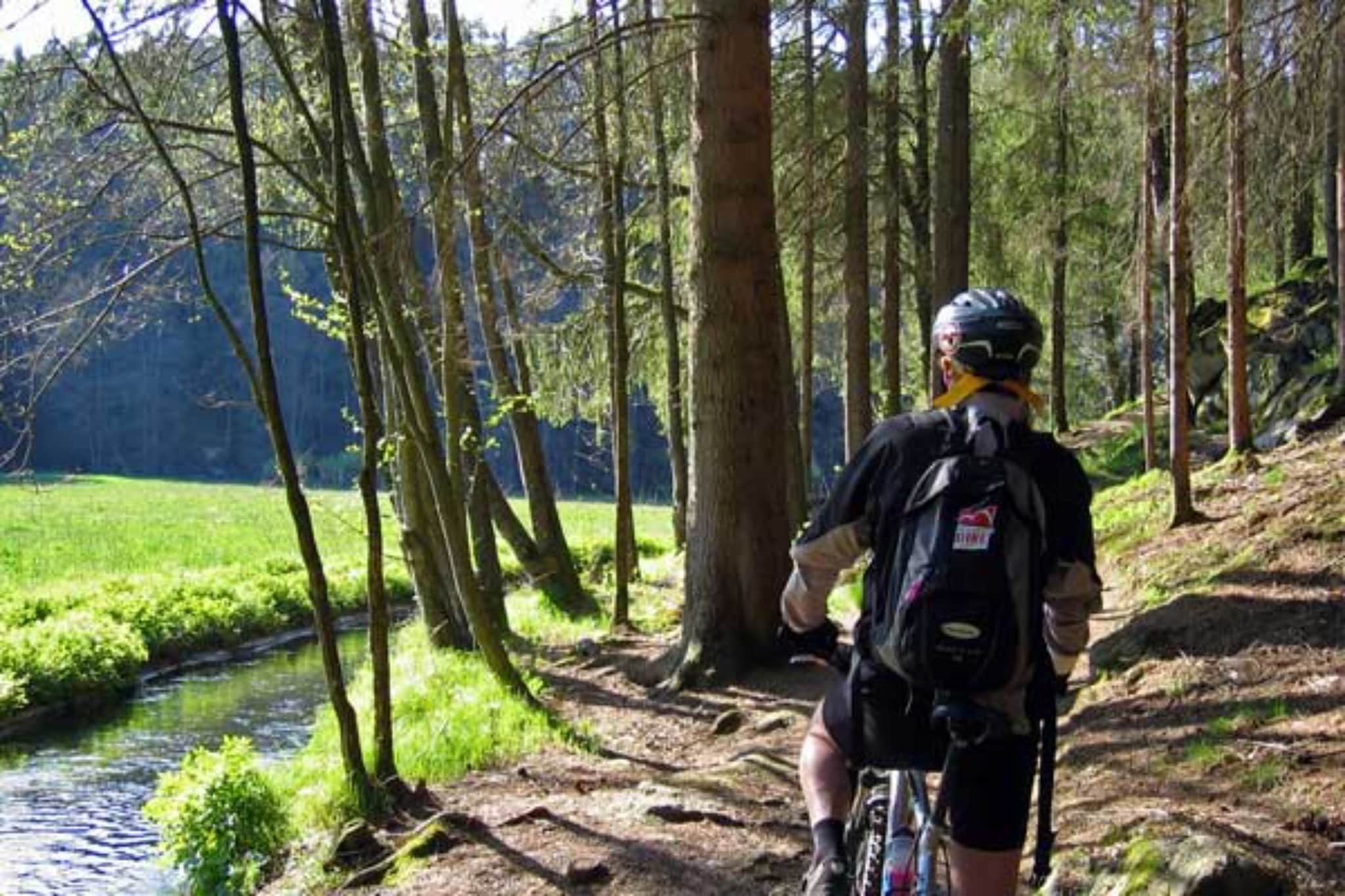 Reiterhof Runding - 2 Raum App - Gebiete Sommer 20 km
