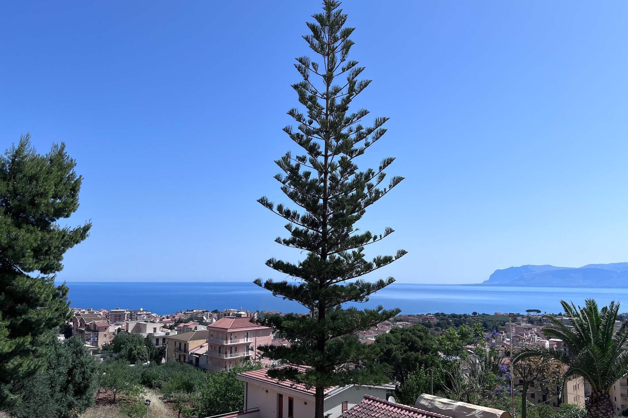 Patrizia Bouganvillae 7 - Areas within 5km in summer