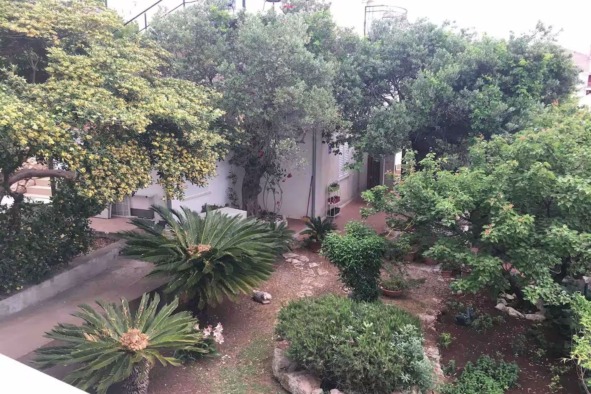 Deluxe apartment Marghareta - Three Bedroom Apartment with  Sea View and Terrace - Terras