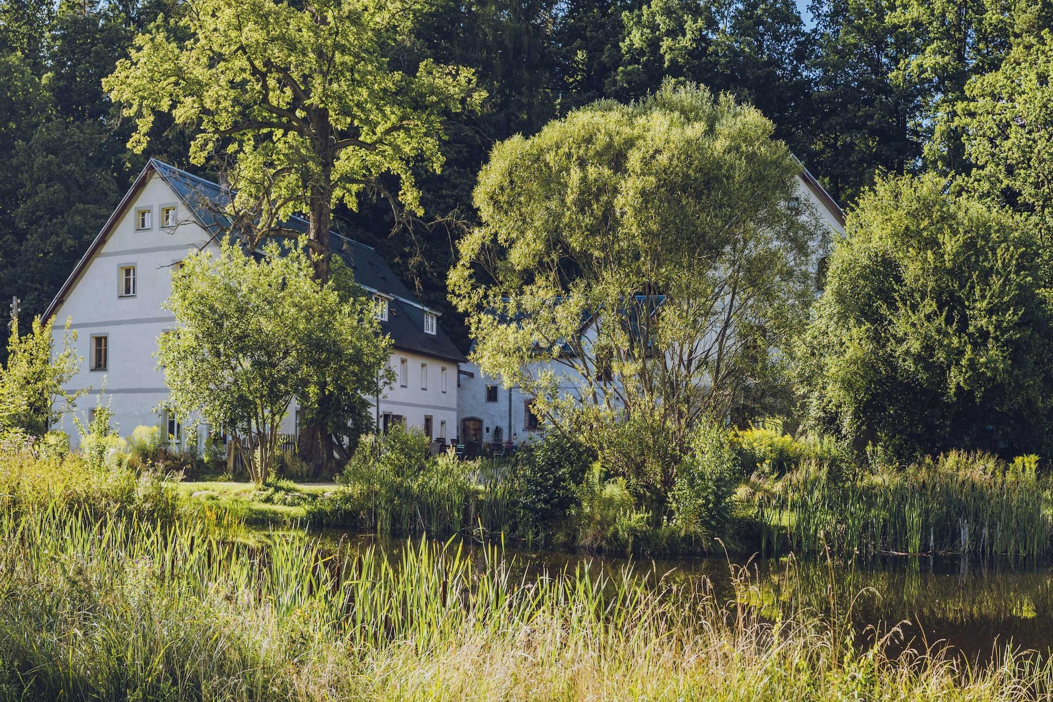 Apartment 8 - Oak - Areas within 1km in summer