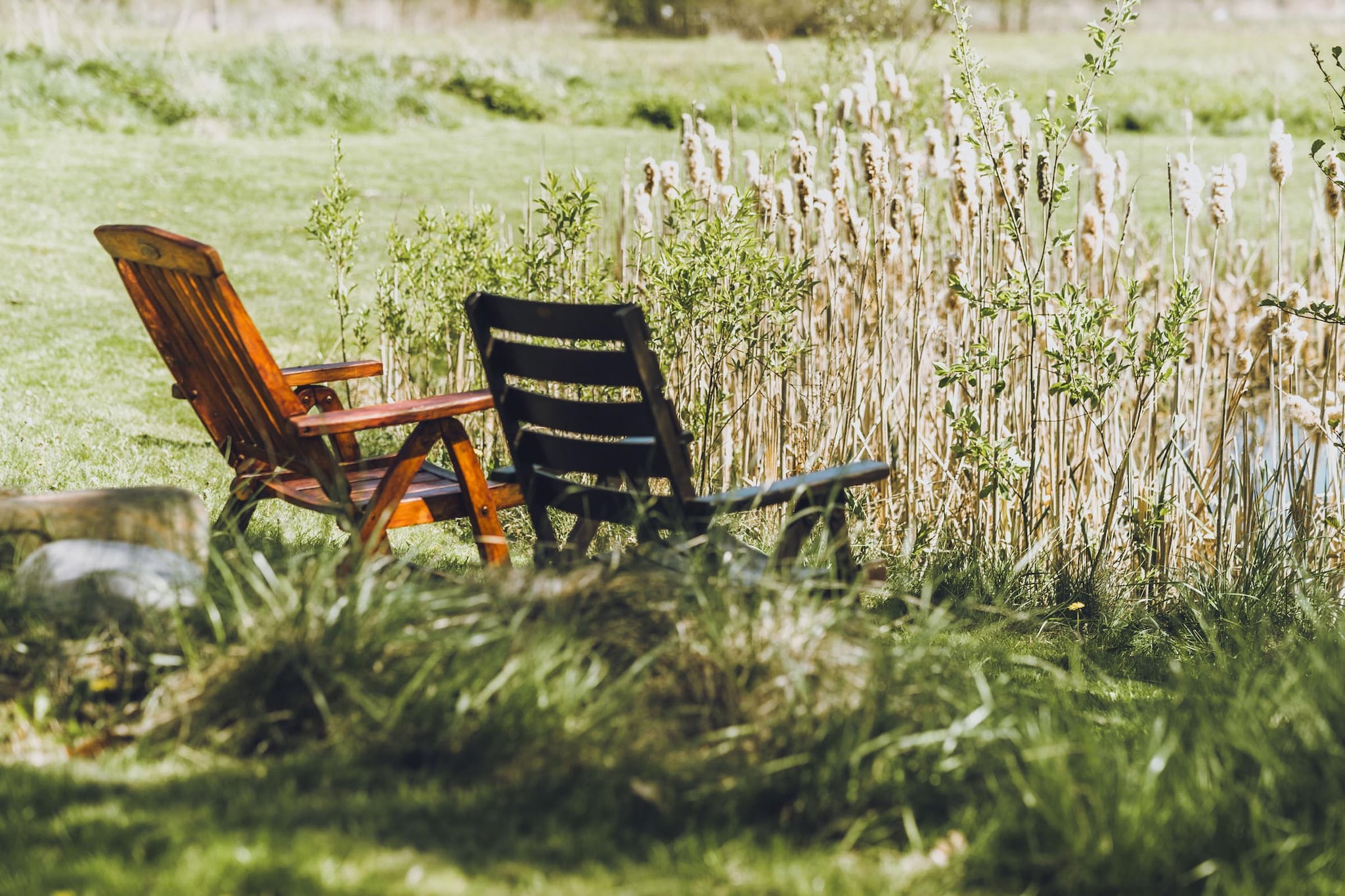 Apartment 8 - Oak - Ambiance