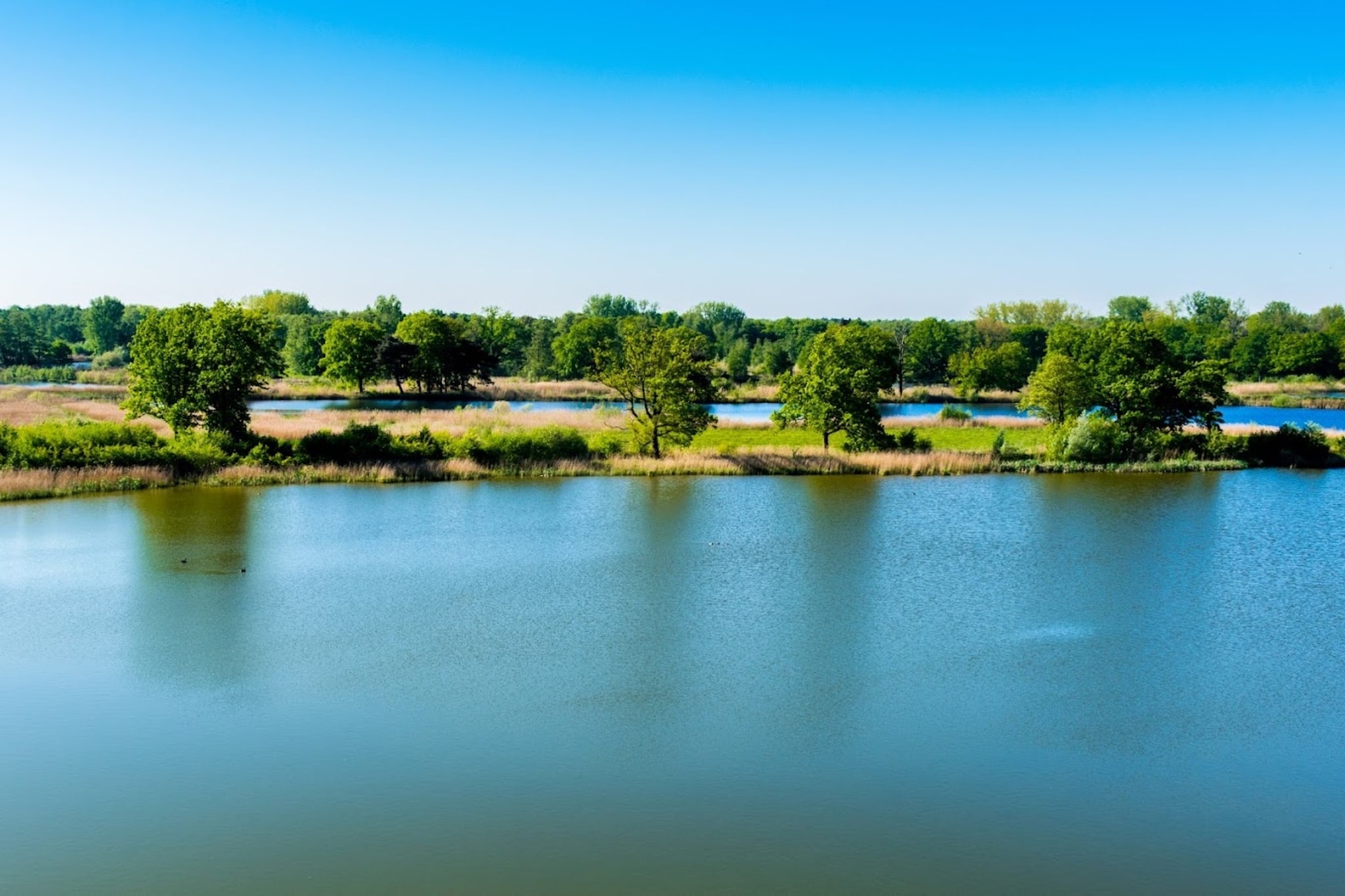 Heidestrand 1 - Areas within 1km in summer