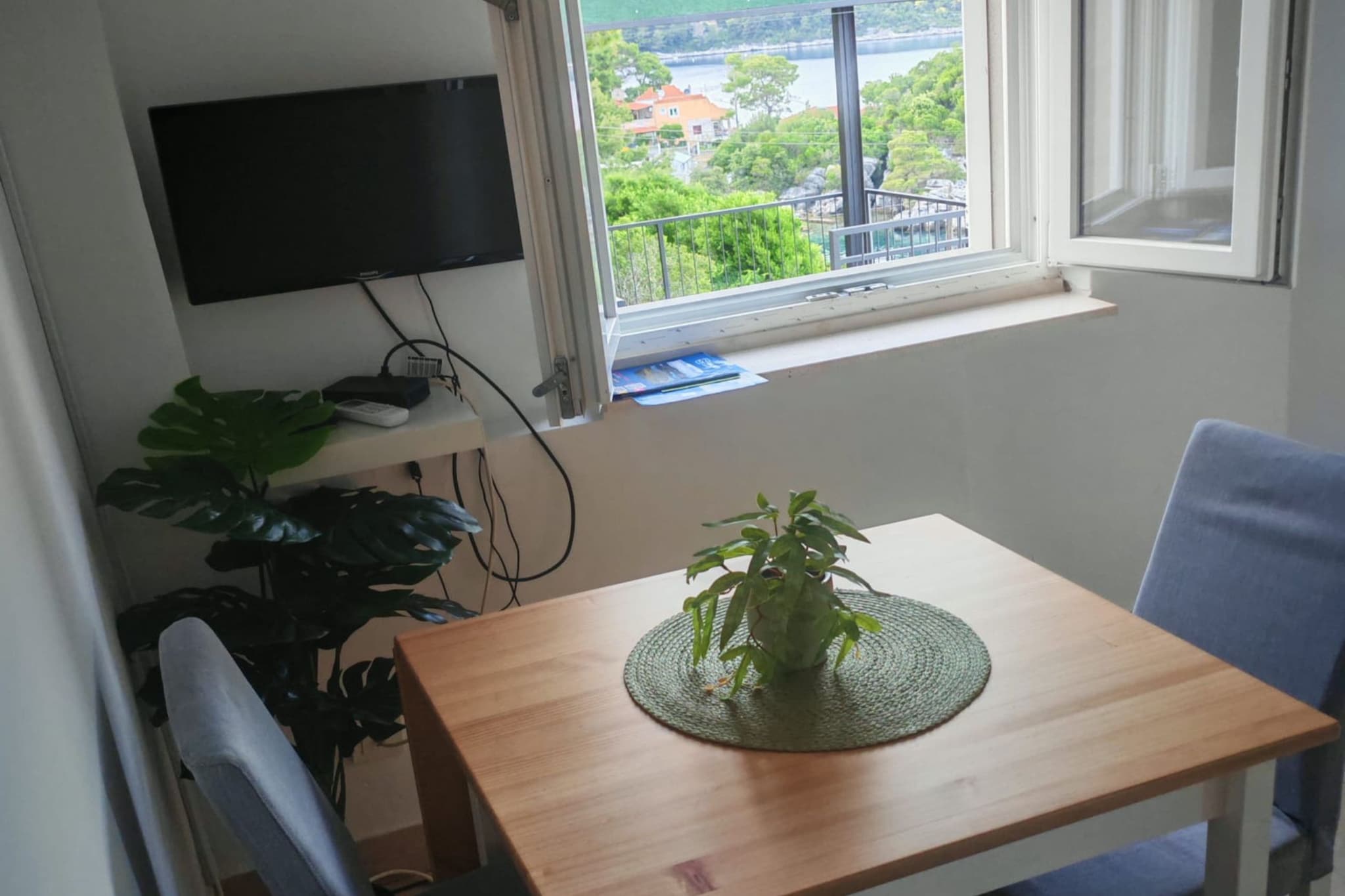 Green House - Studio with Terrace and Sea View