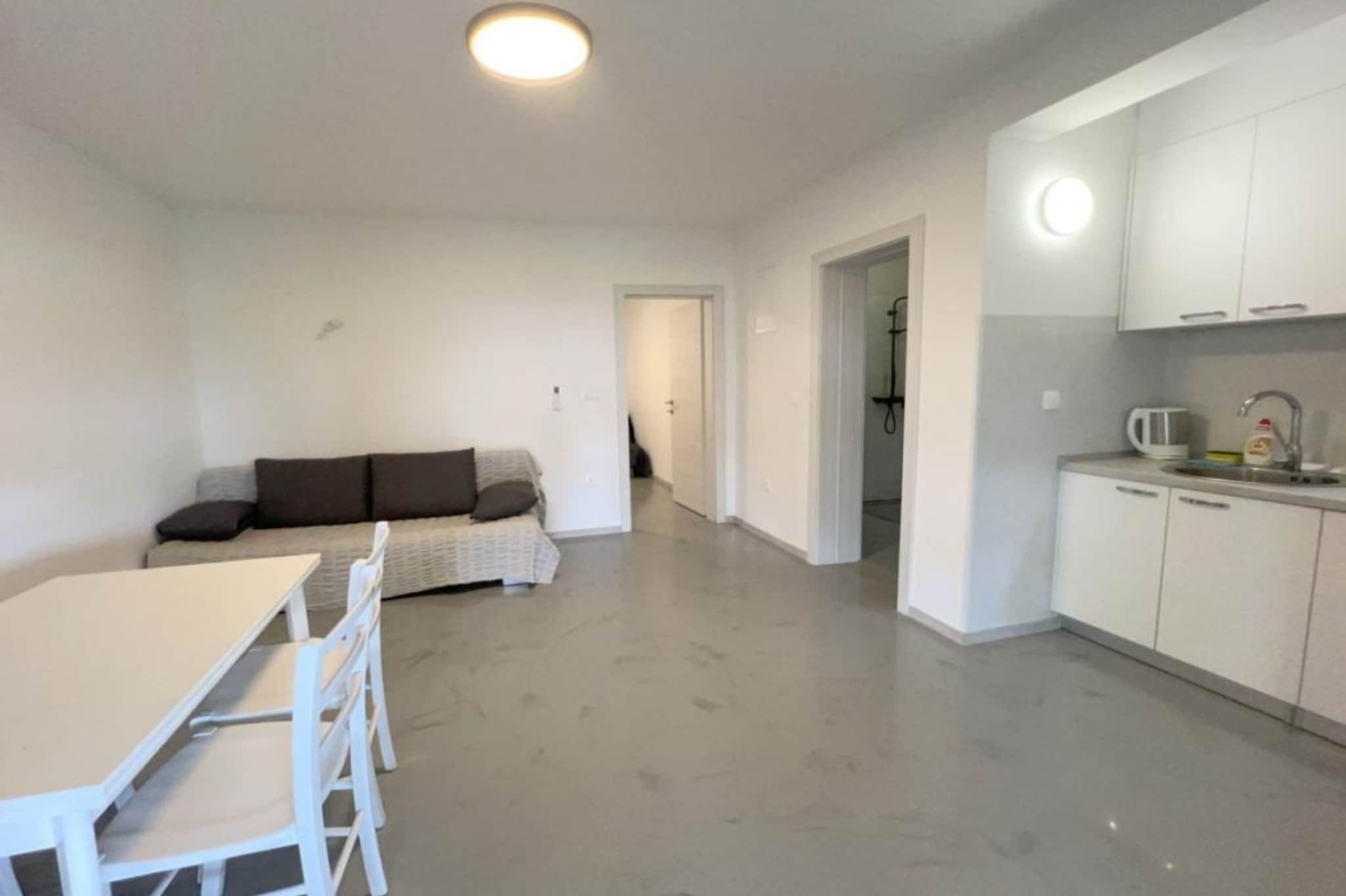 Apartments Vicelić - One bedroom apartment with sea view (2)