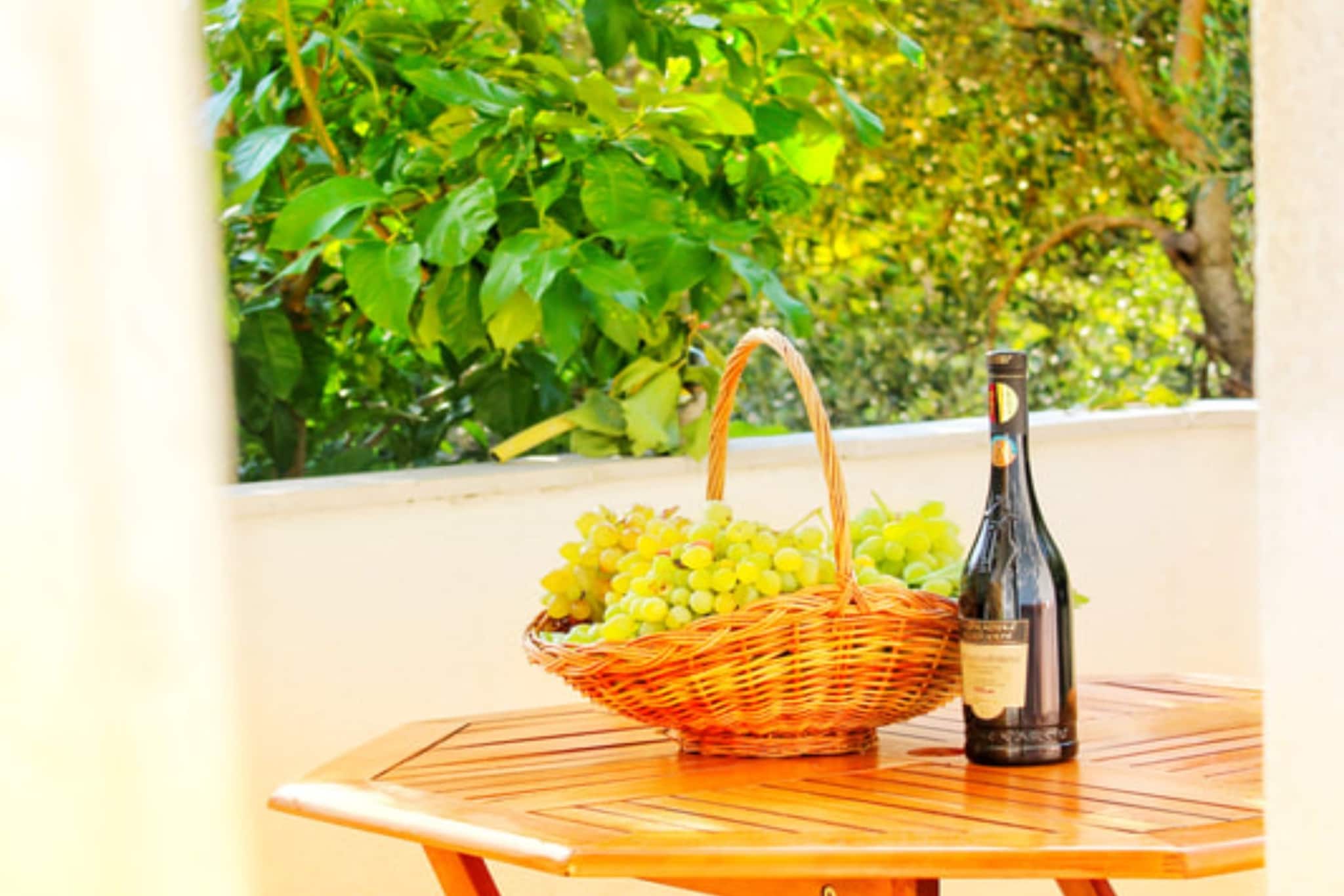 Villa Maslina-Olive one bedroom apartment Olea - Terrasse