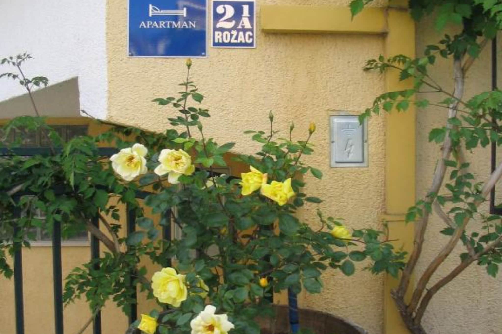 Apartments Gogi - One bedroom apartment (A3) - Terrasbalkon