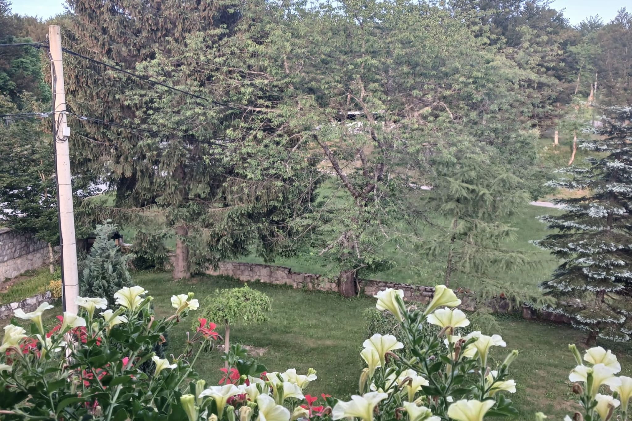 Villa Lika Annex - Double Room with Balcony 6
