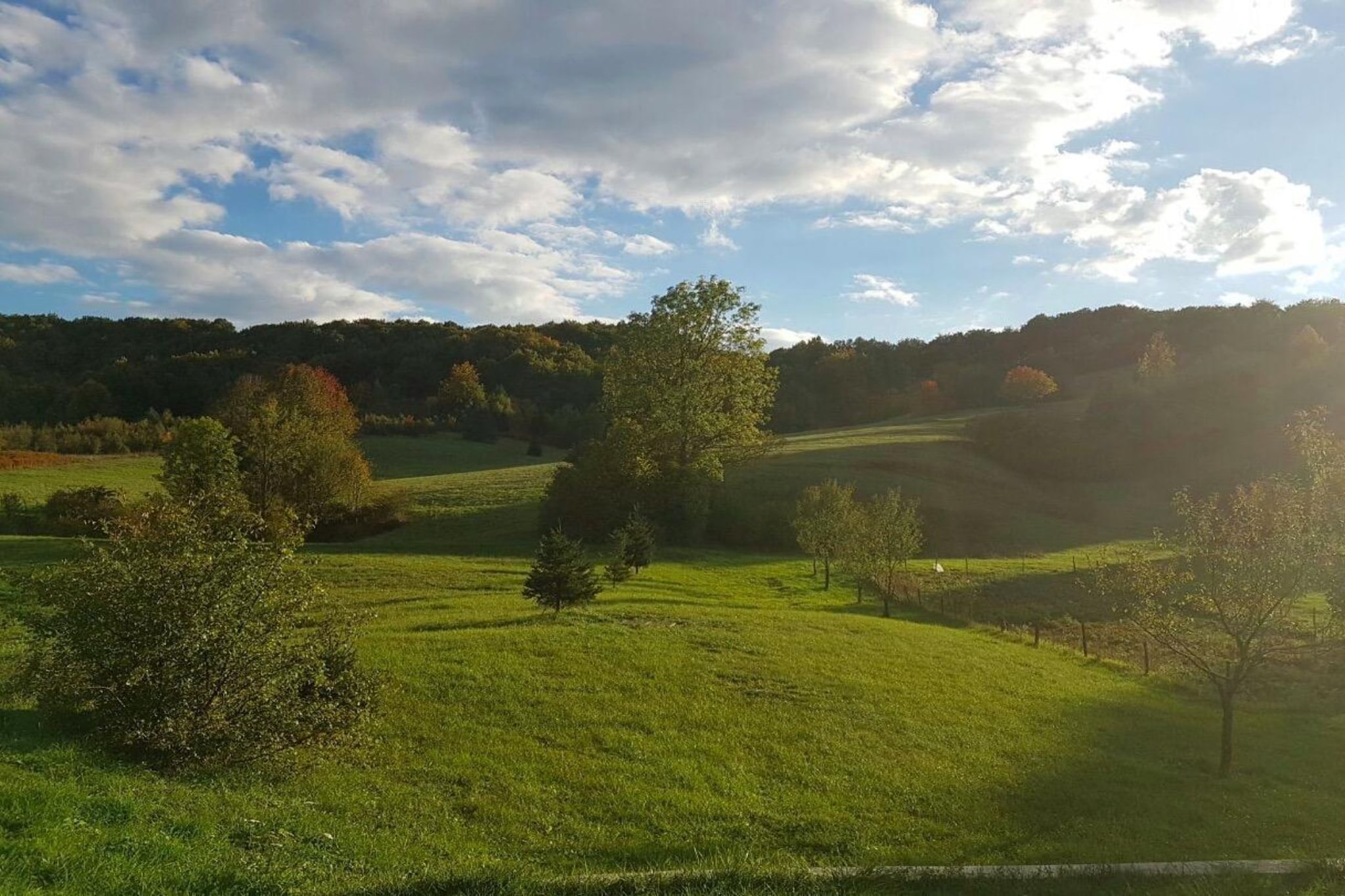 Villa Lika Annex - Double Room with Mountain View 8 - Tuinen zomer
