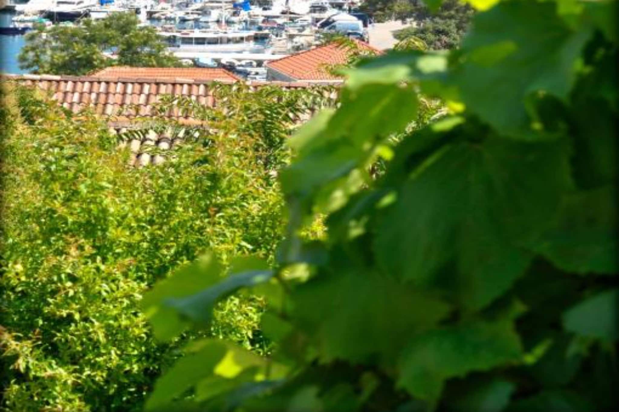 Comfort Apartments Lumbarda - TwoBedroom Apartment With SeaView - Buitenlucht