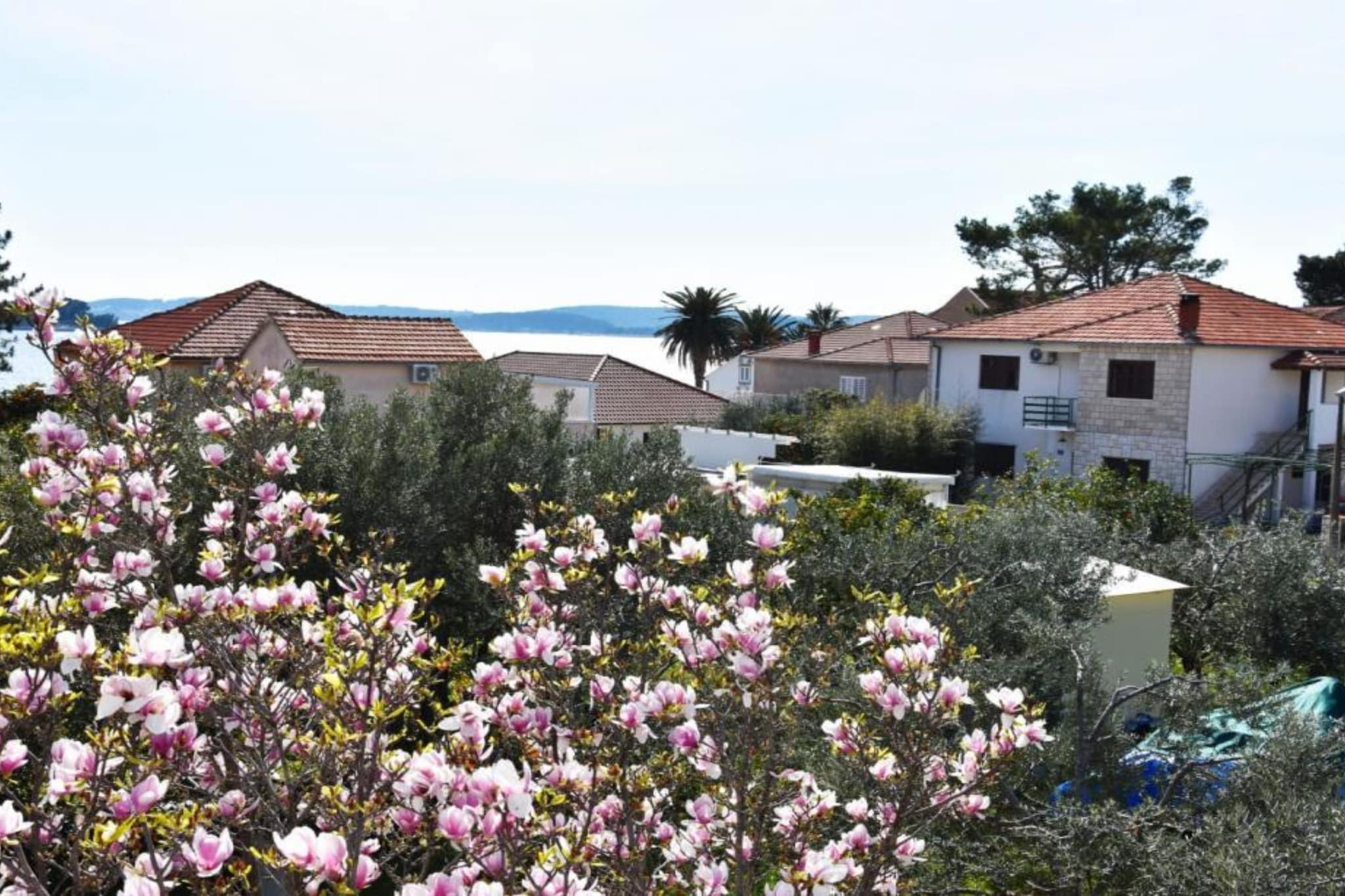 Apartments near the beach Orebic - One bedroom apartment (702) - Buitenlucht