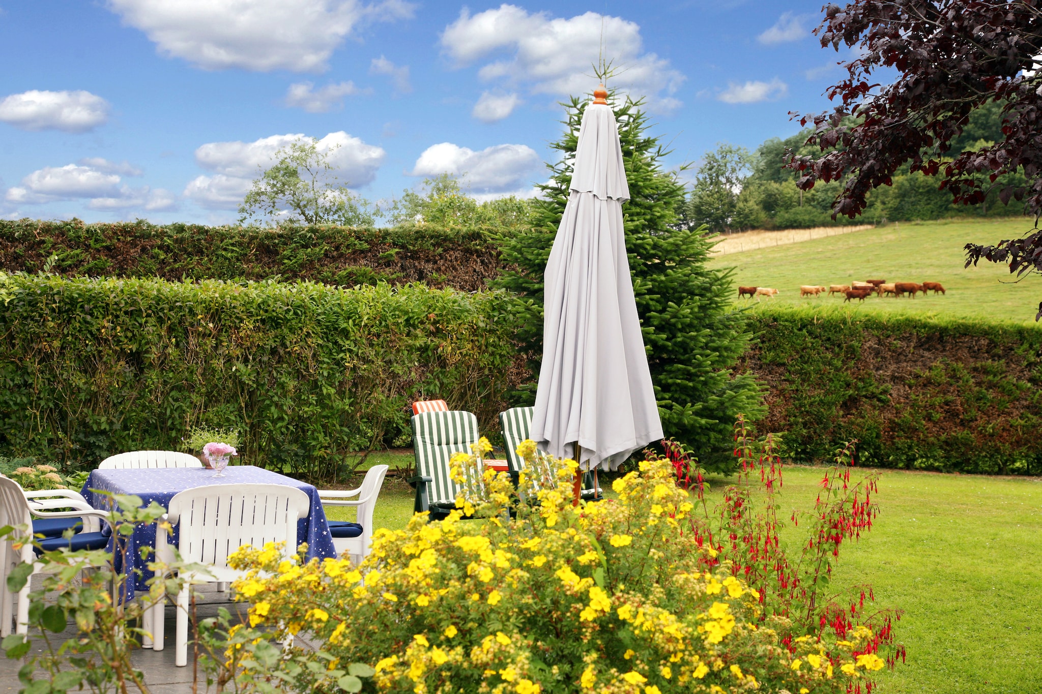Garden Summer