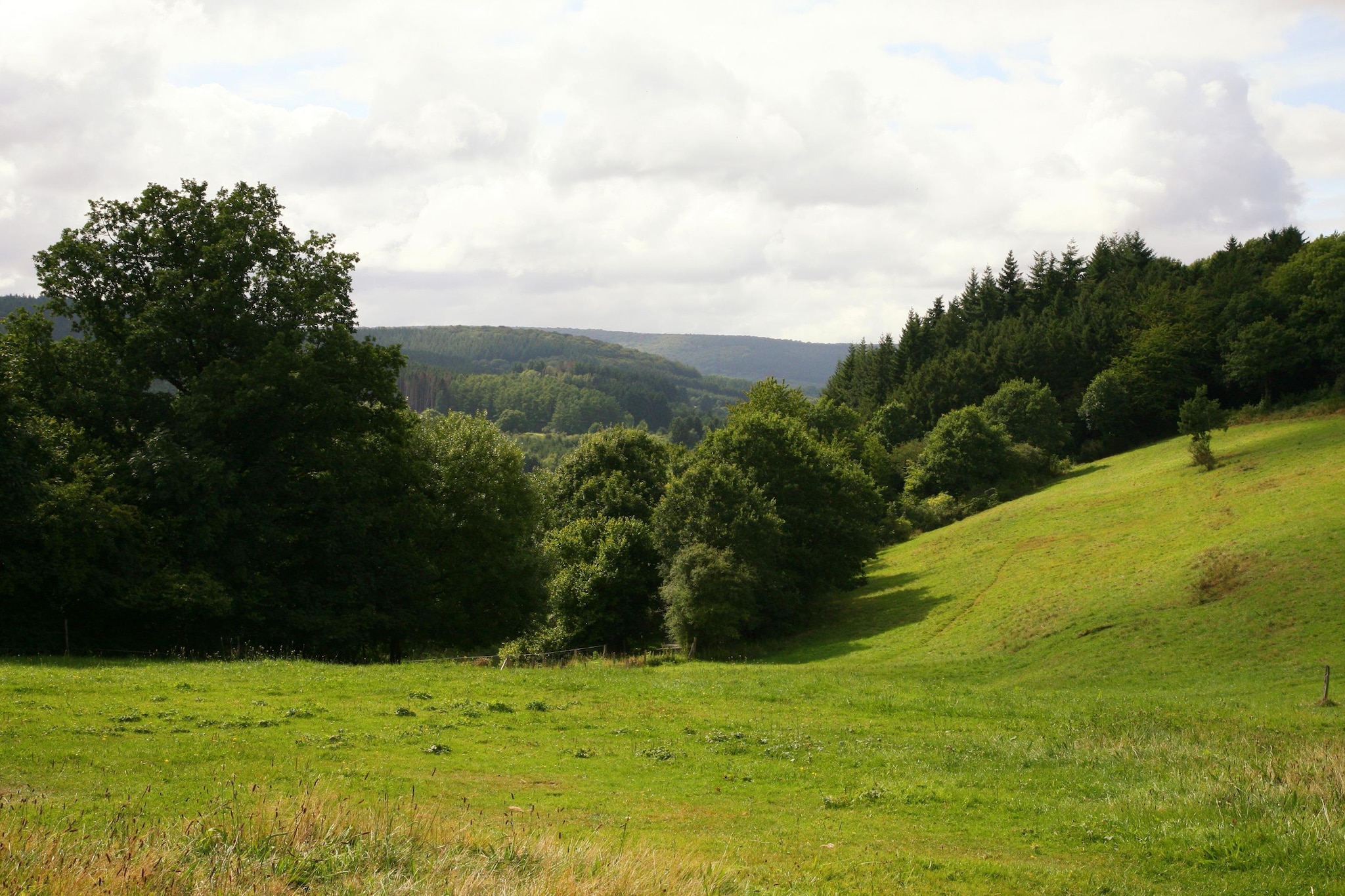 View Summer