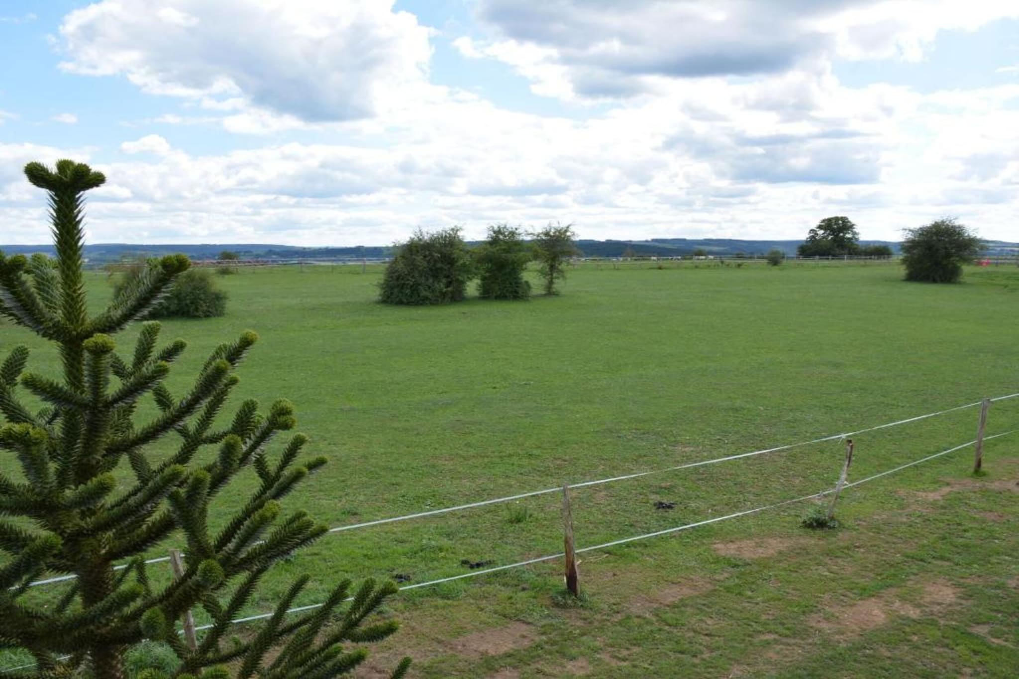 Lesternid-Areas summer 20km
